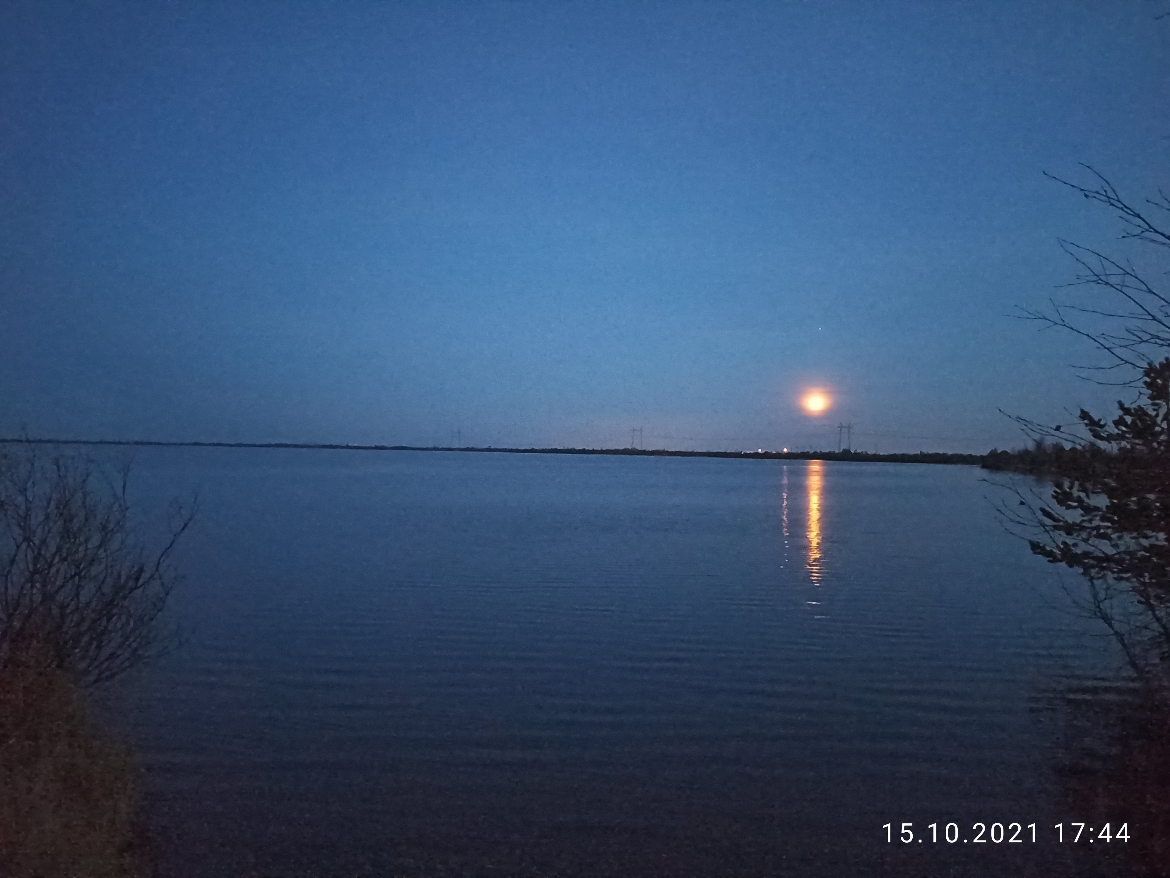 IMG_20211015_174412.jpg