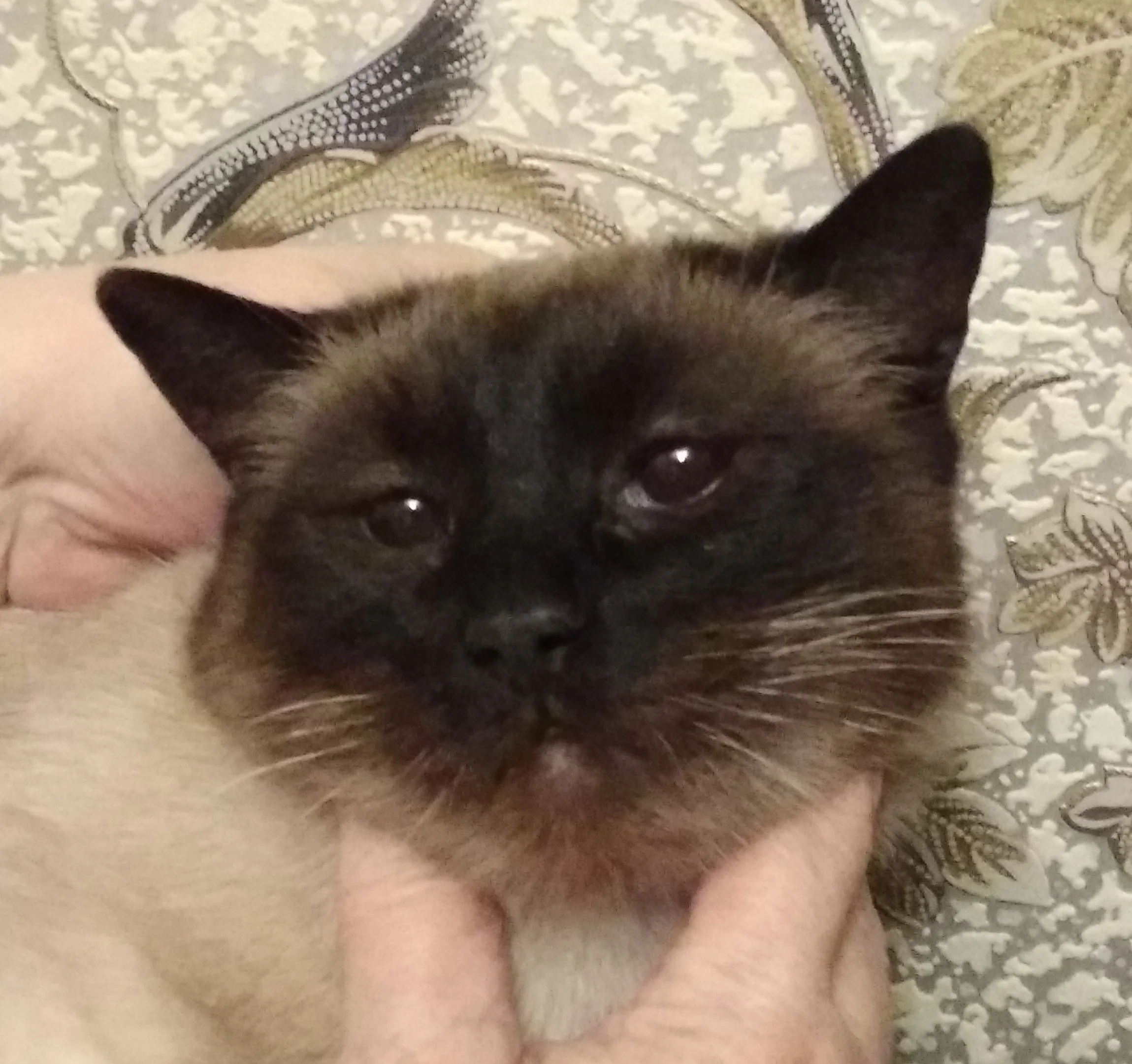 IMG_20211216_165149 (2).webp