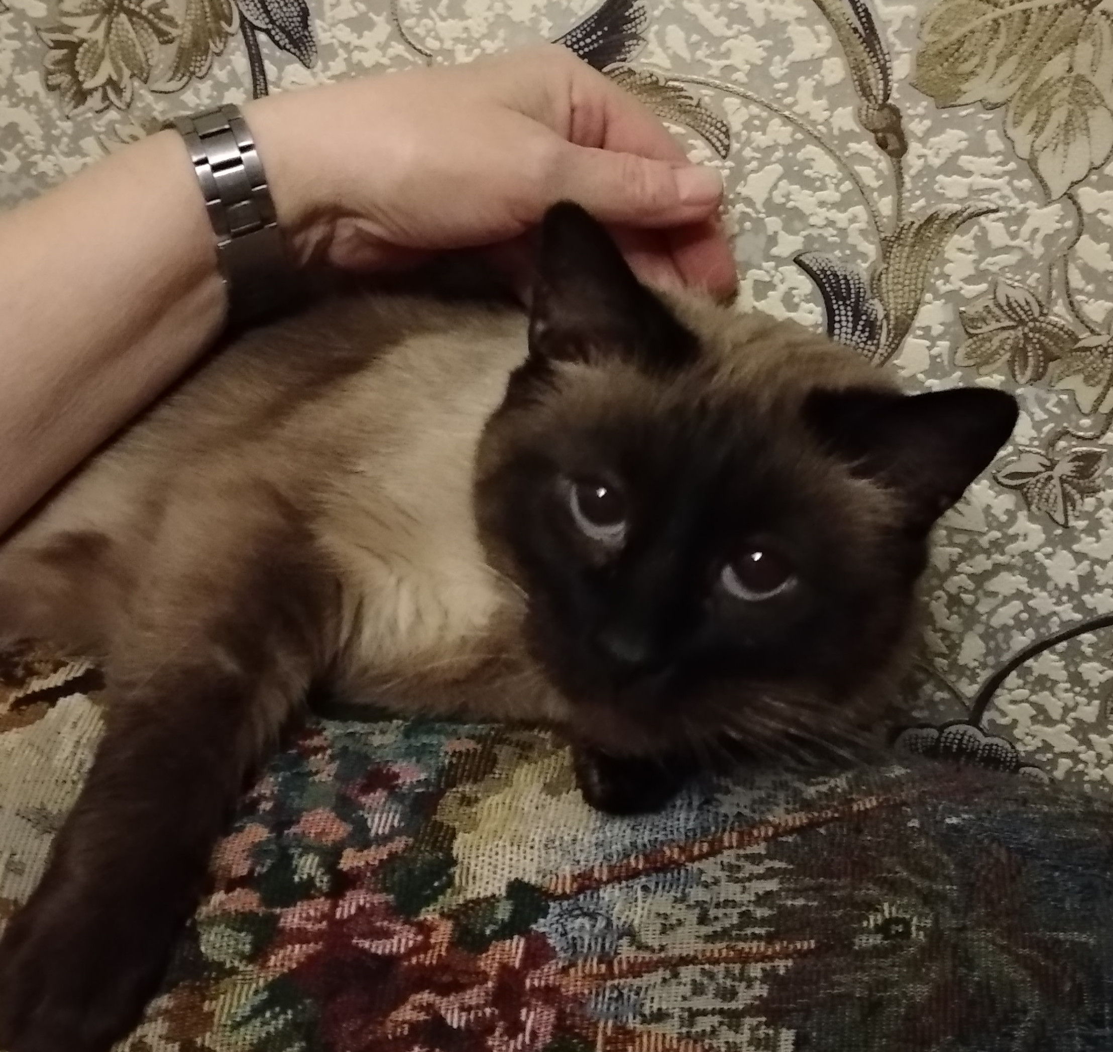 IMG_20211216_165204_HHT (2).jpg