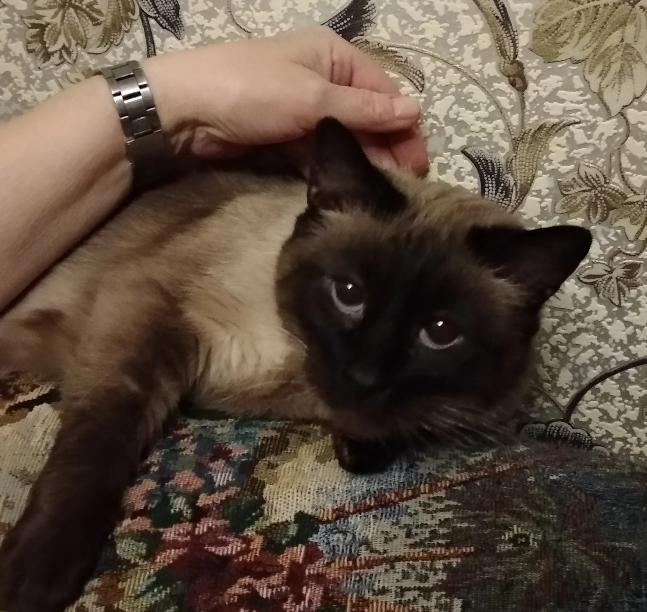 IMG_20211216_165204_HHT (2).webp