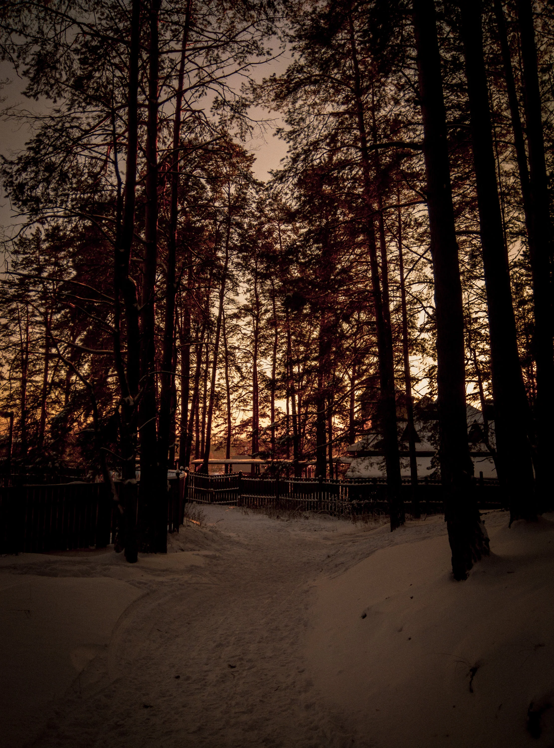 IMG_20211226_135353 (1).webp