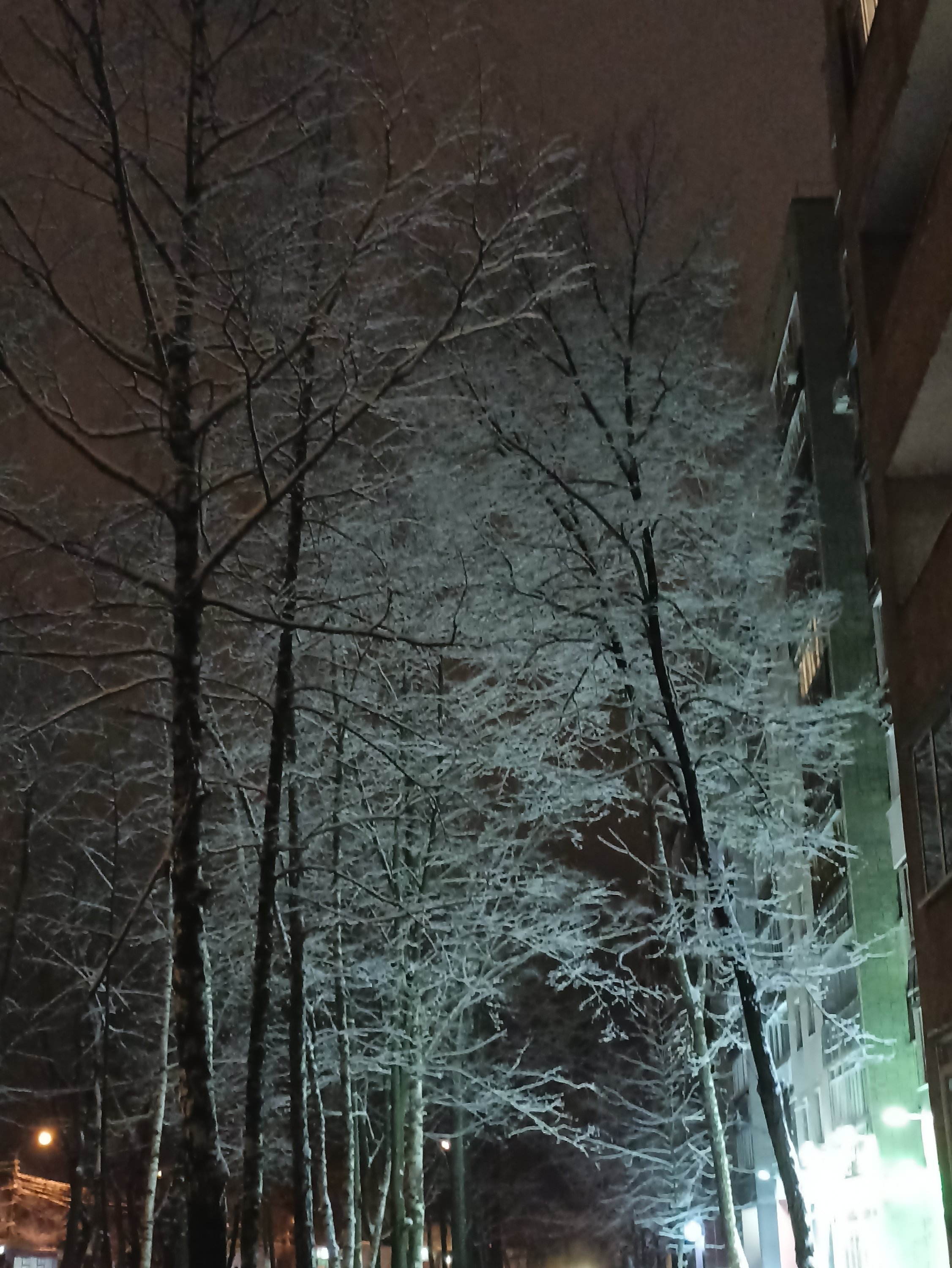 IMG_20220101_191213.jpg