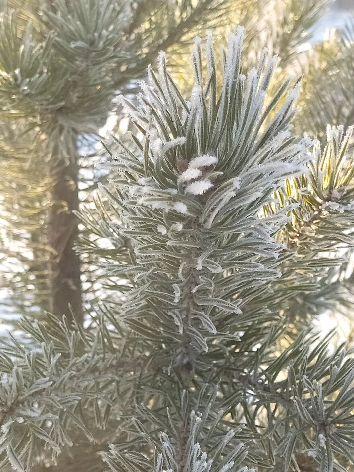 IMG_20220122_112616 (1).webp