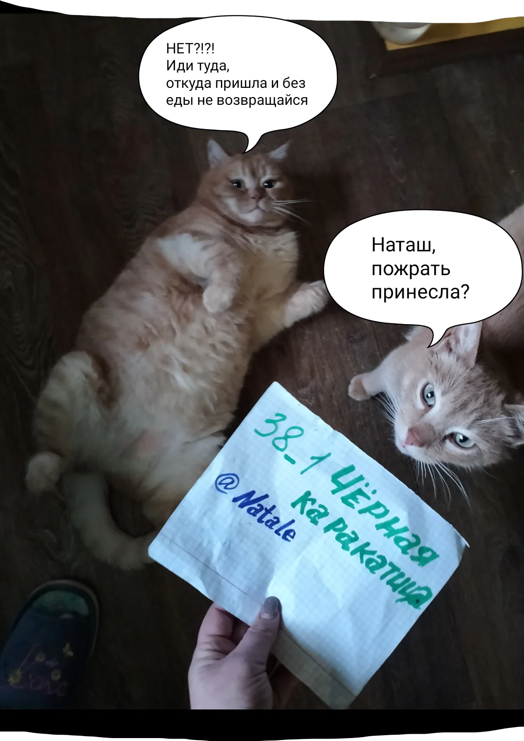 IMG_20230123_131637 (1).webp