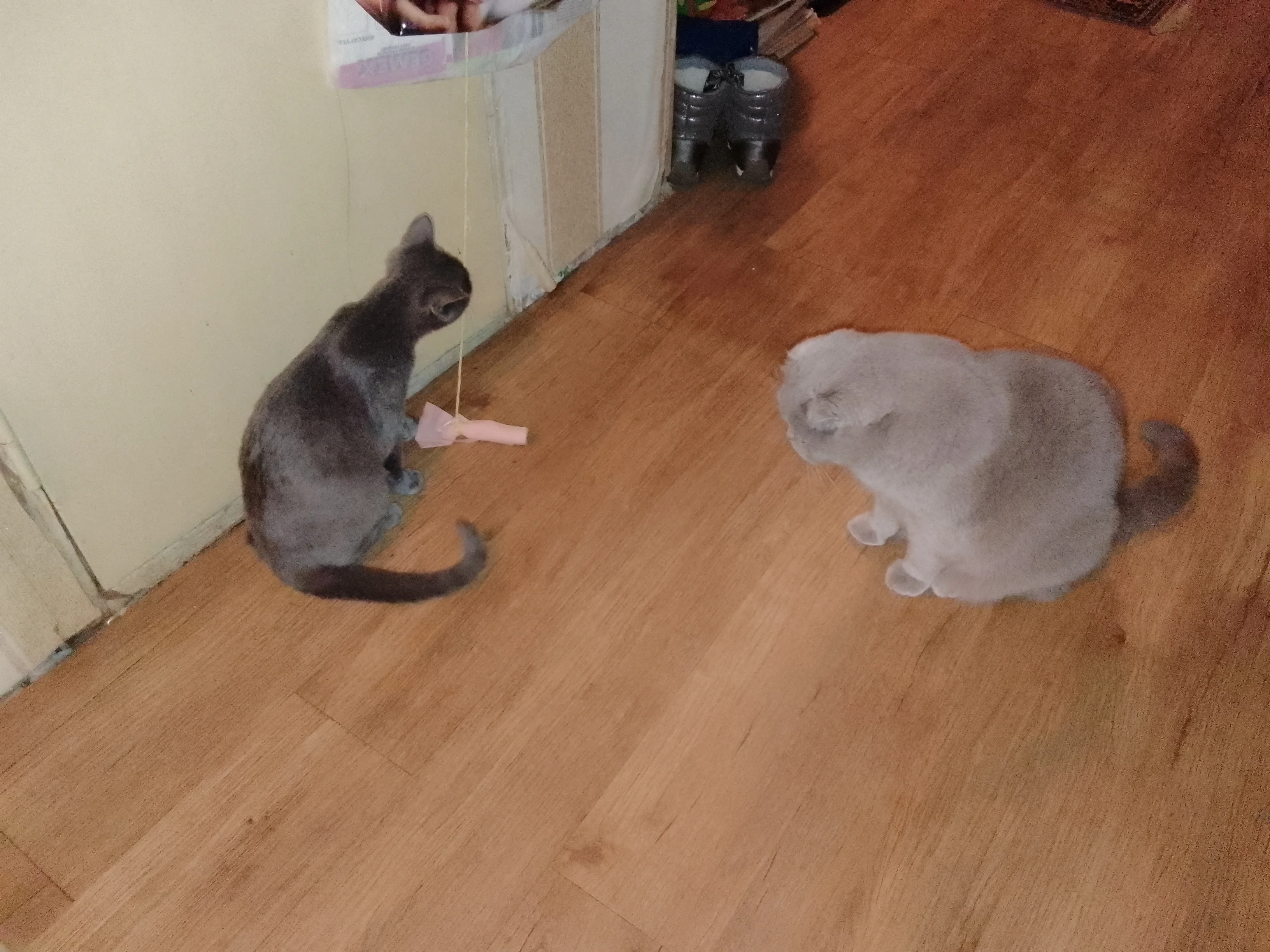 IMG_20230829_192010 (1).webp