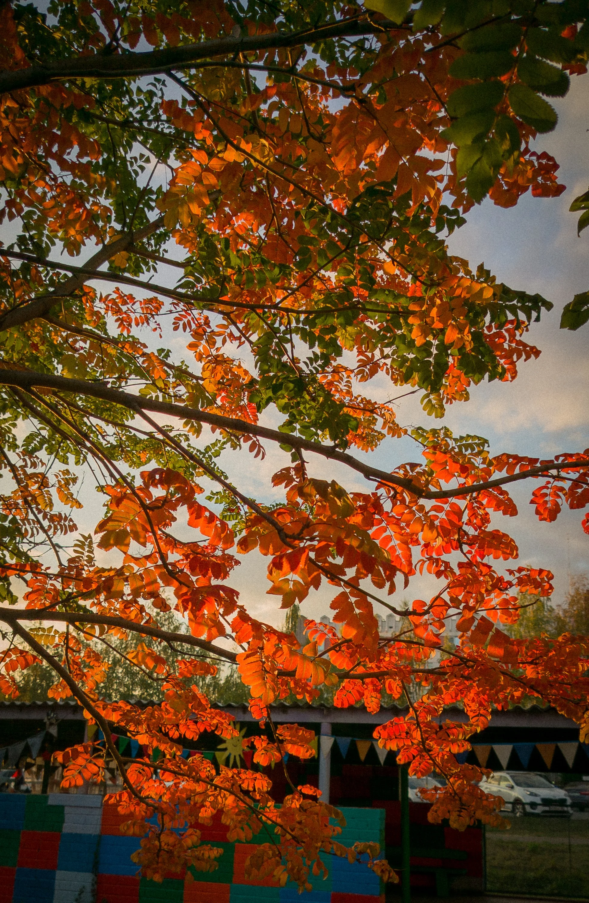 IMG_20230922_165005297 (1).webp