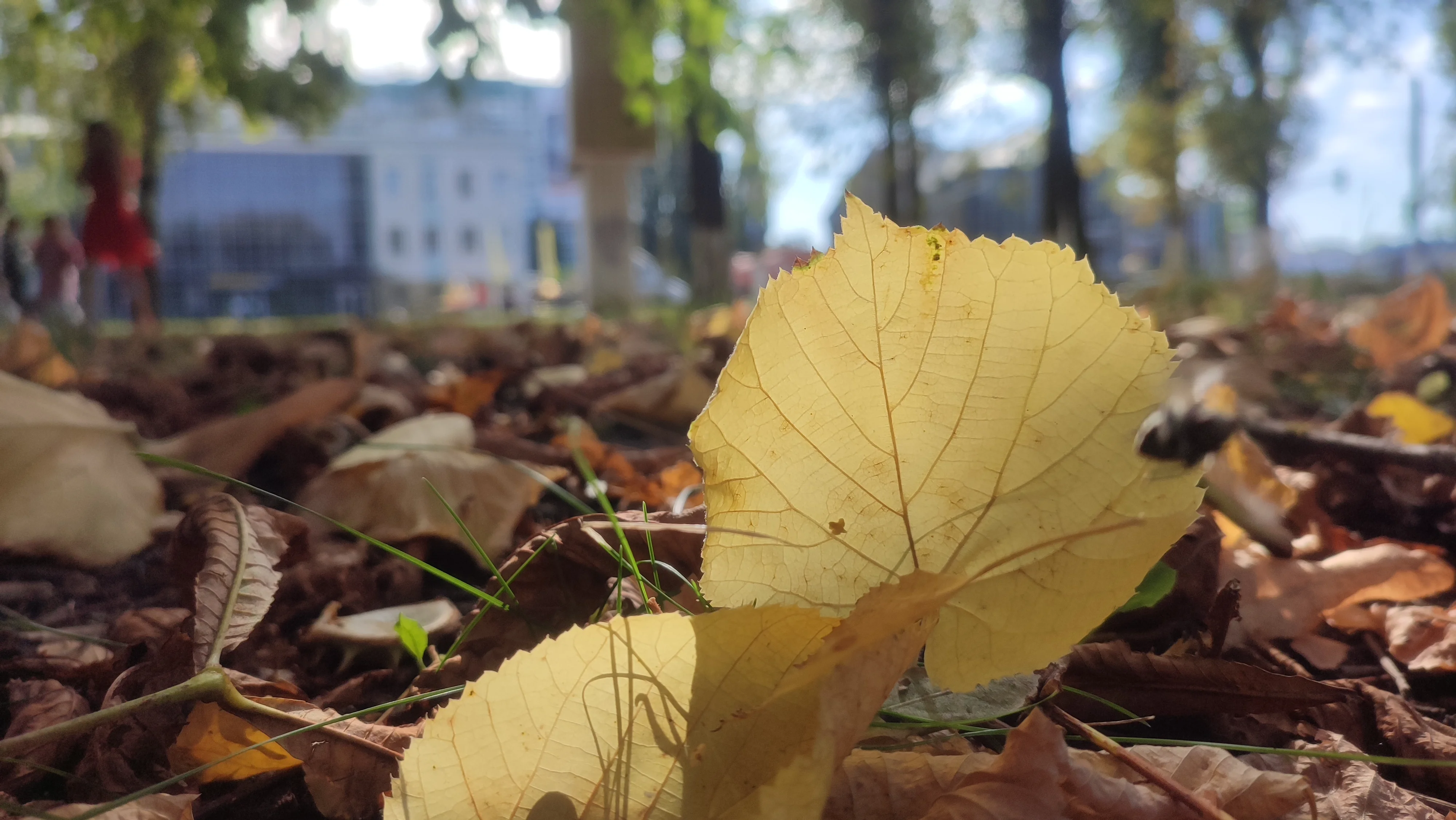 img_20230923_132035-webp.2225186