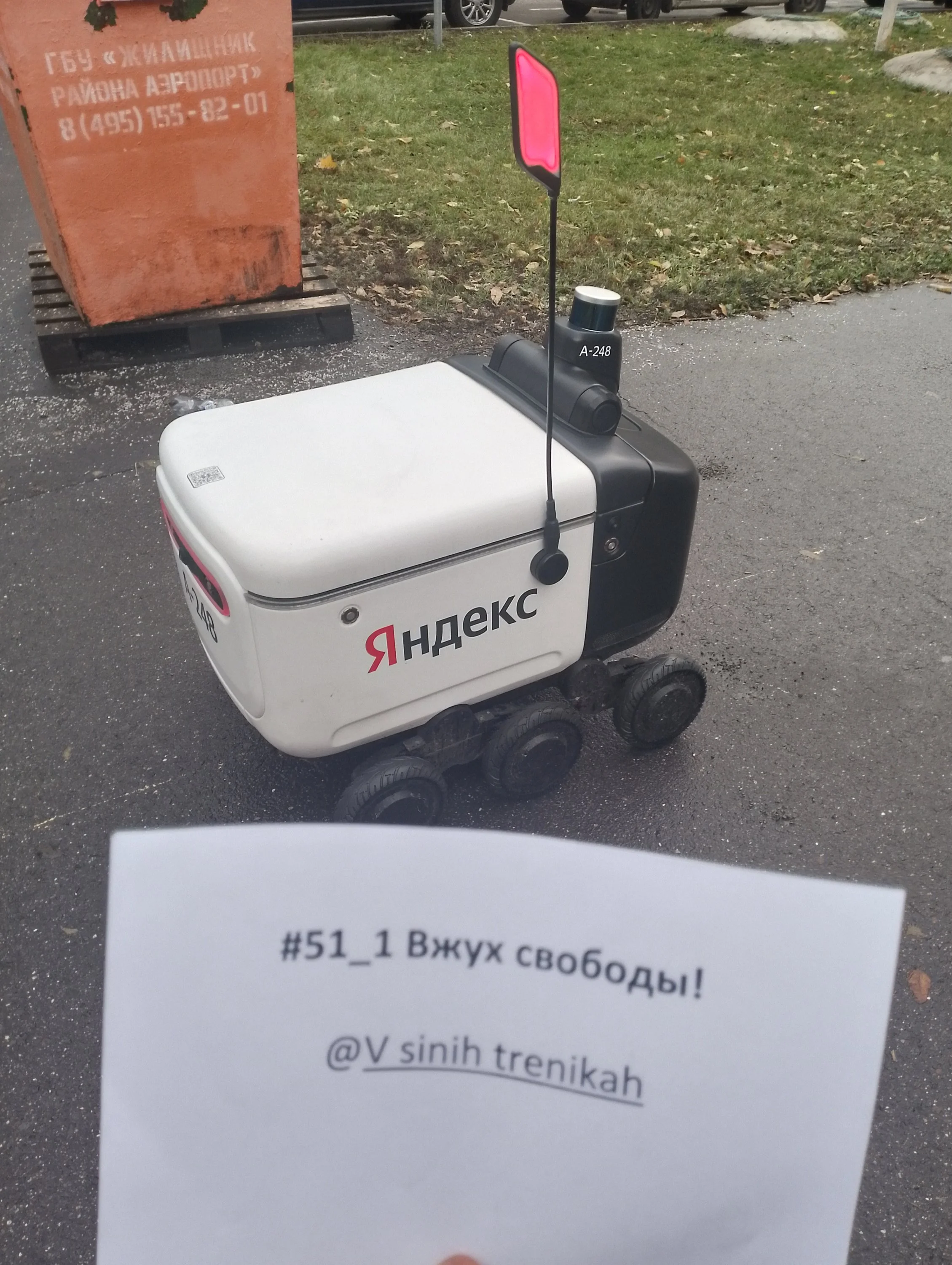 IMG_20231031_120131_HDR (1).webp