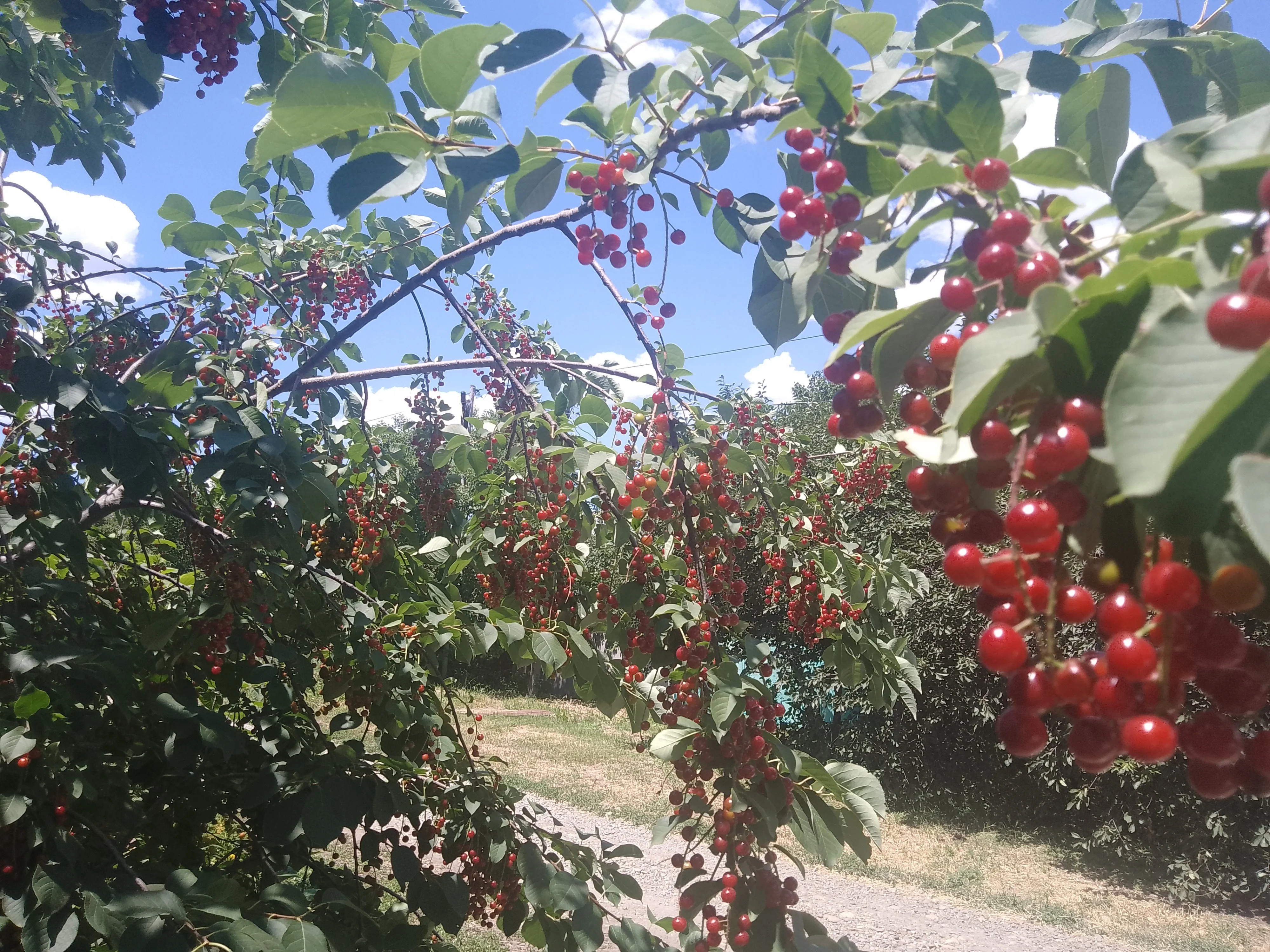 IMG_20240630_115312 (2).jpg