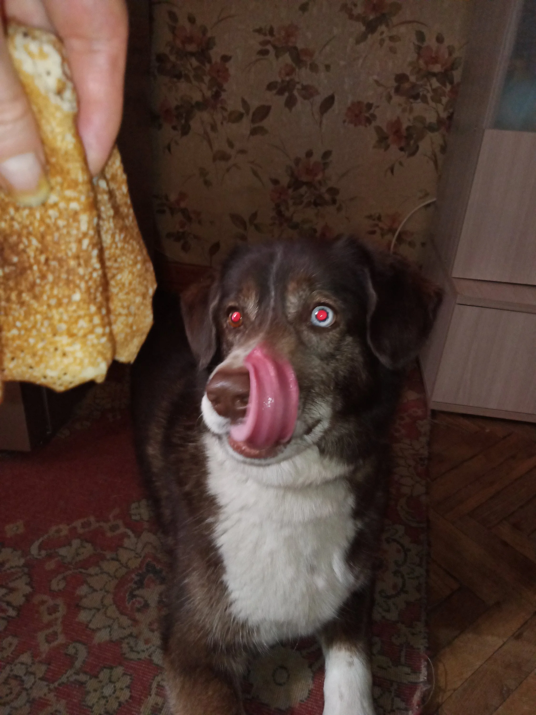 IMG_20250301_135853 (1).webp