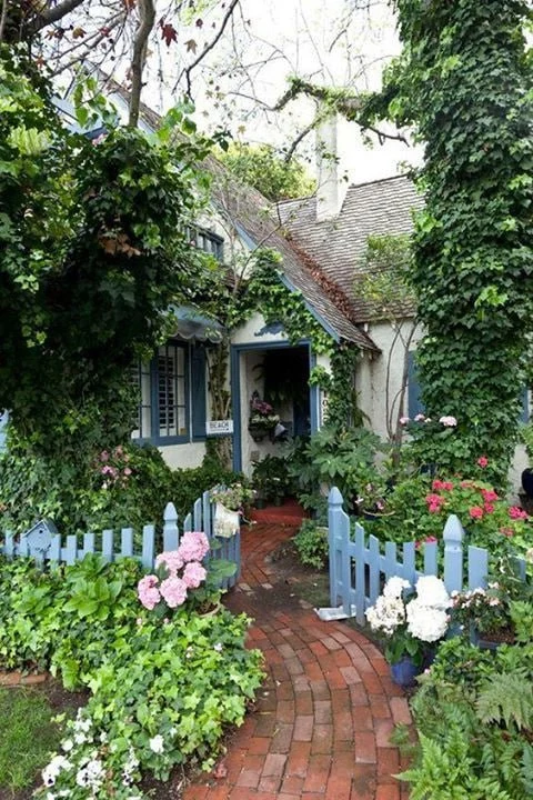 IMG_20250430_065313_991.webp