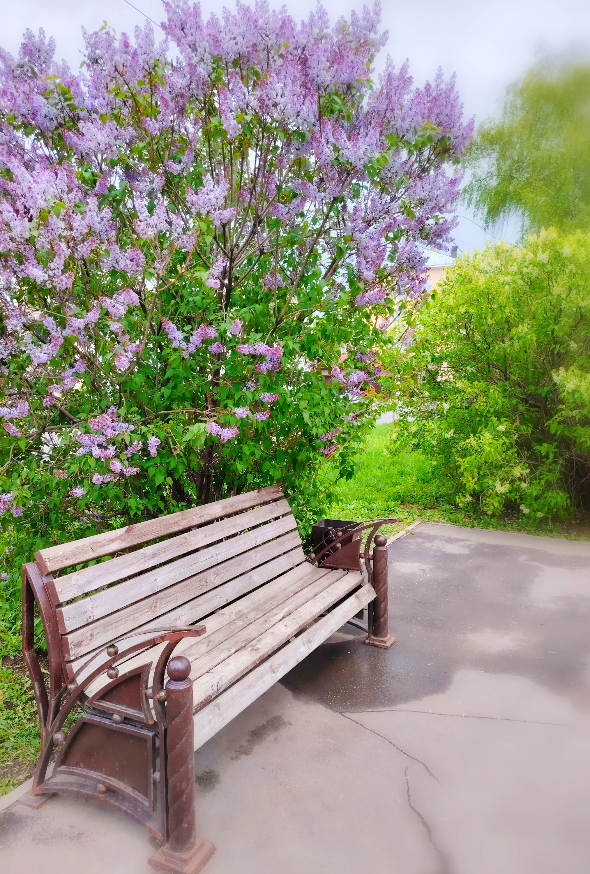 IMG_20250430_164800_edit_294494815275418 (2).webp