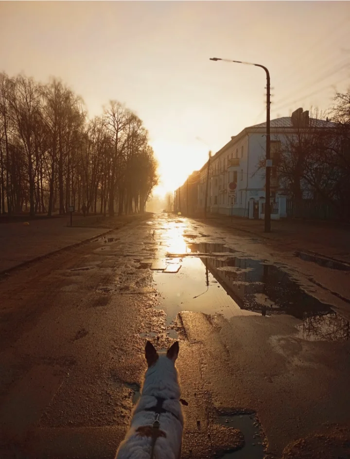 IMG_20250501_132422 (1).webp