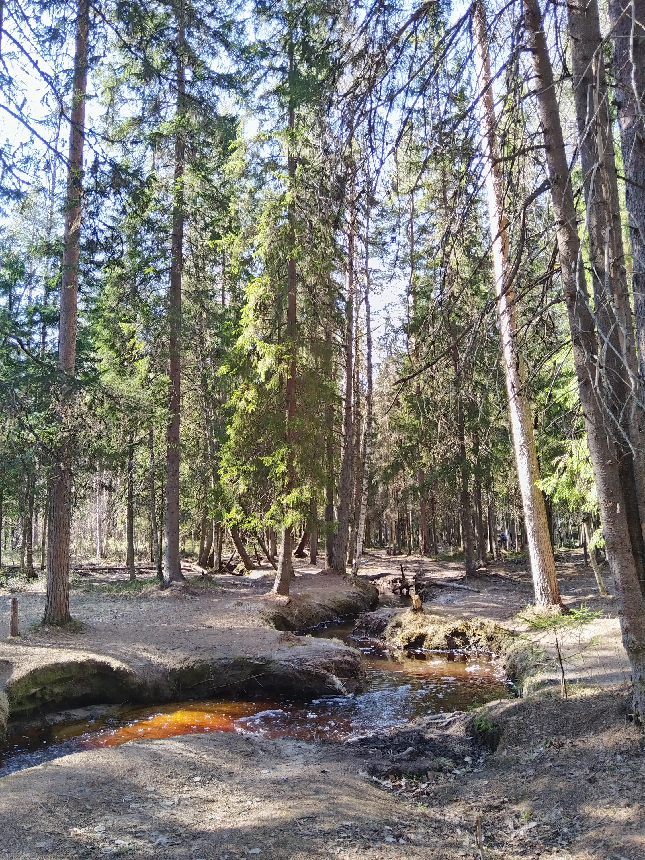 IMG_20250501_154550 (1).webp