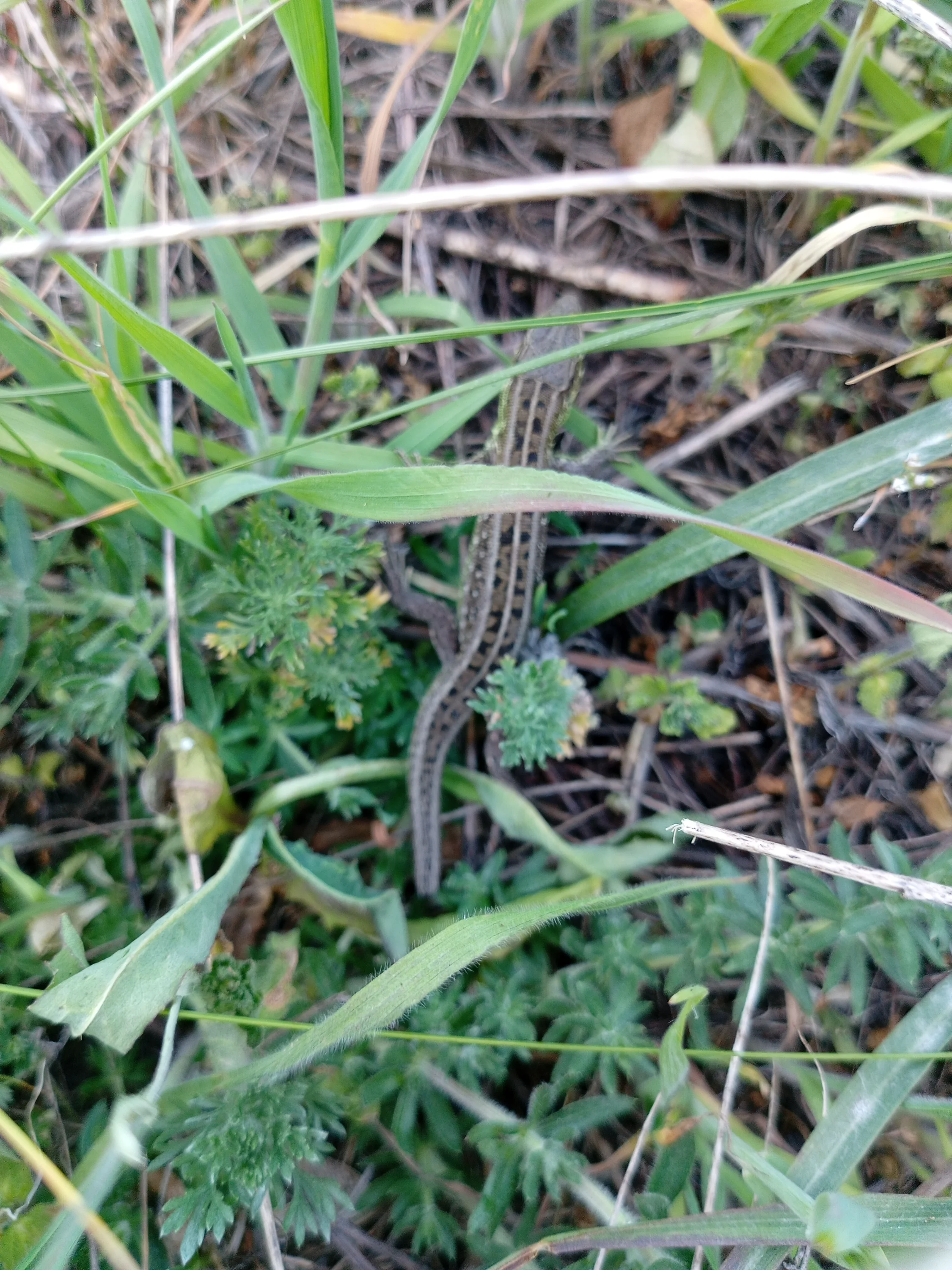 IMG_20250503_170859_610 (1).webp