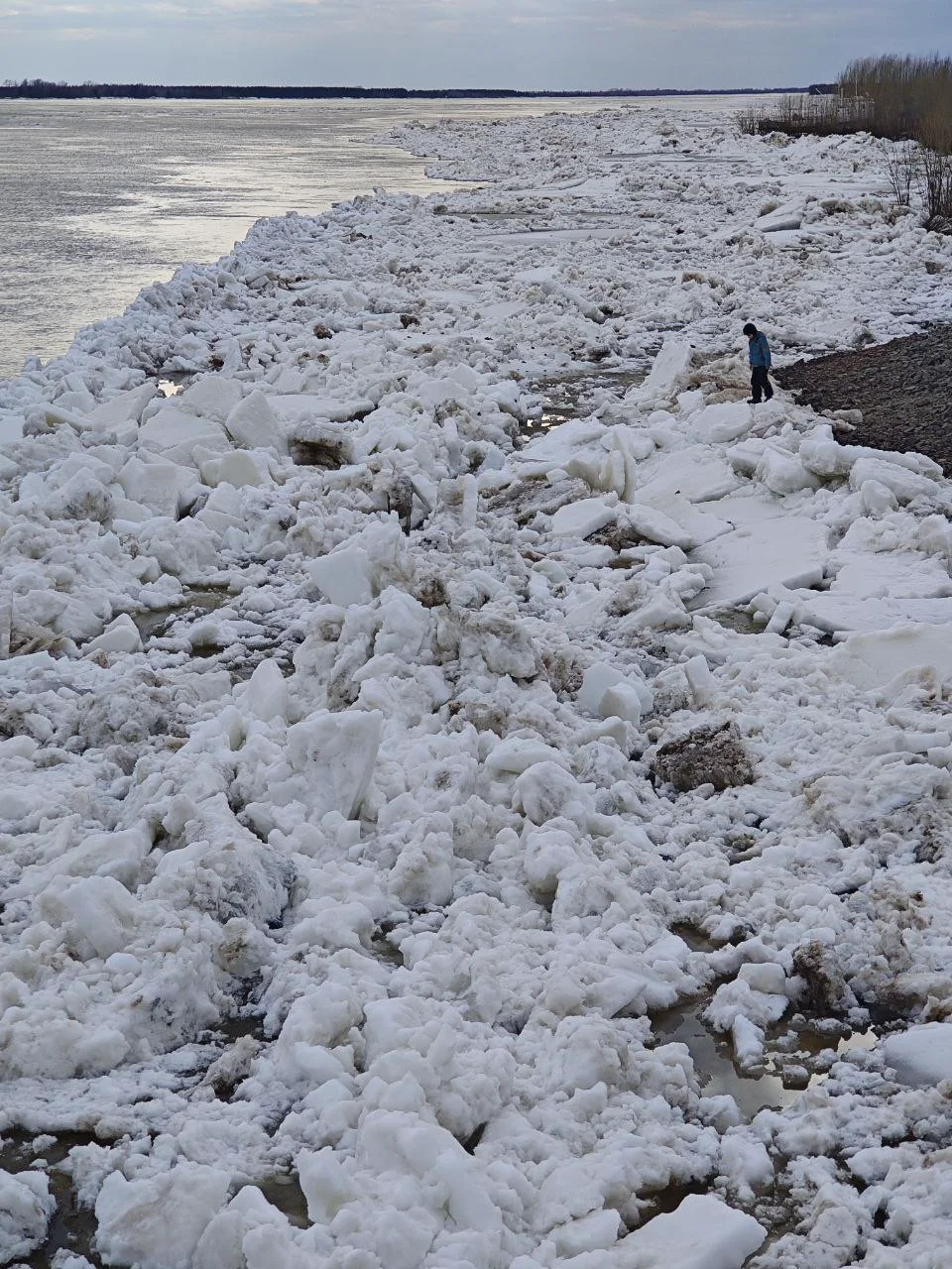 IMG_20250503_180942_148 (1).webp