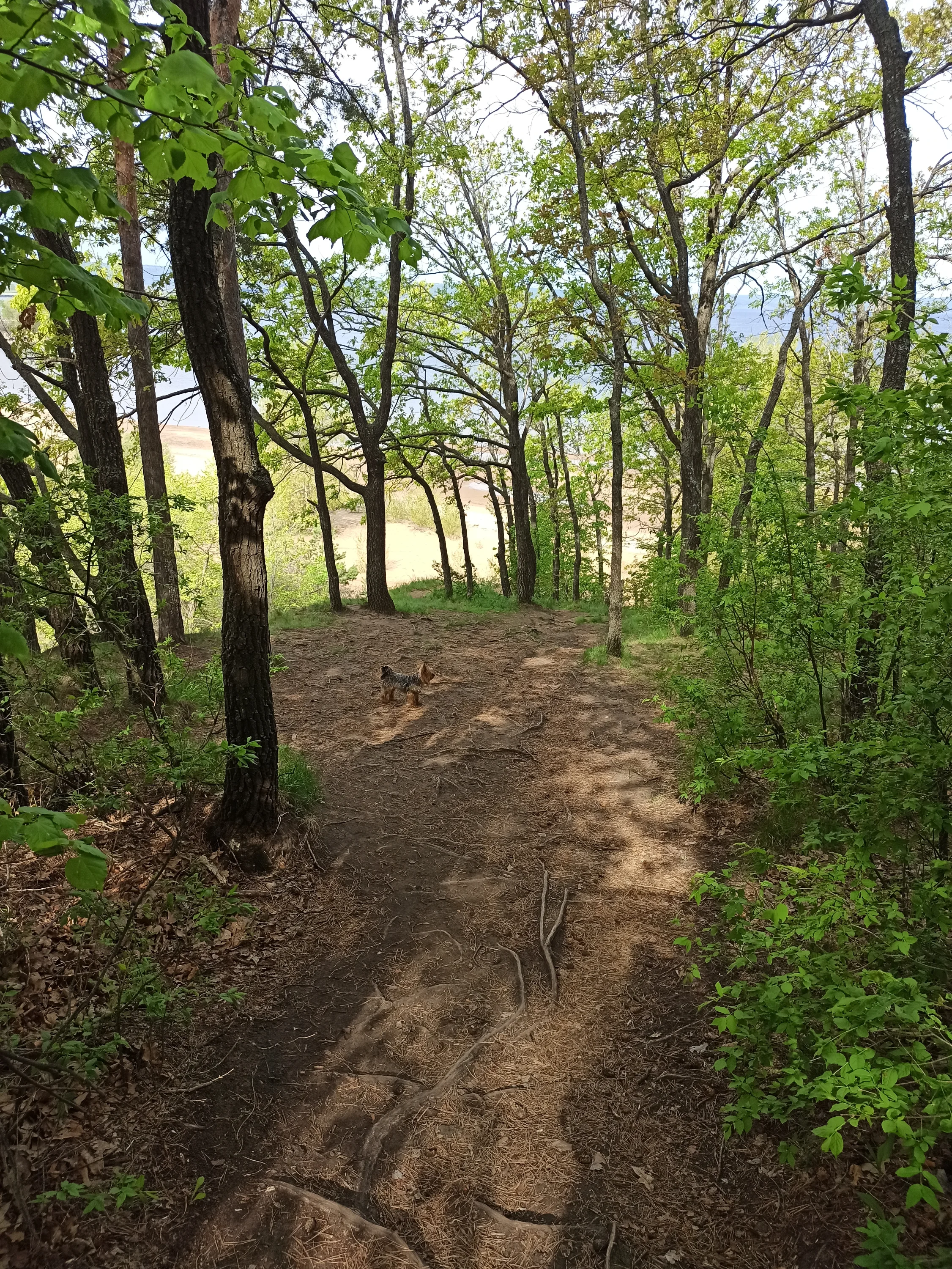 IMG_20250510_092439.webp