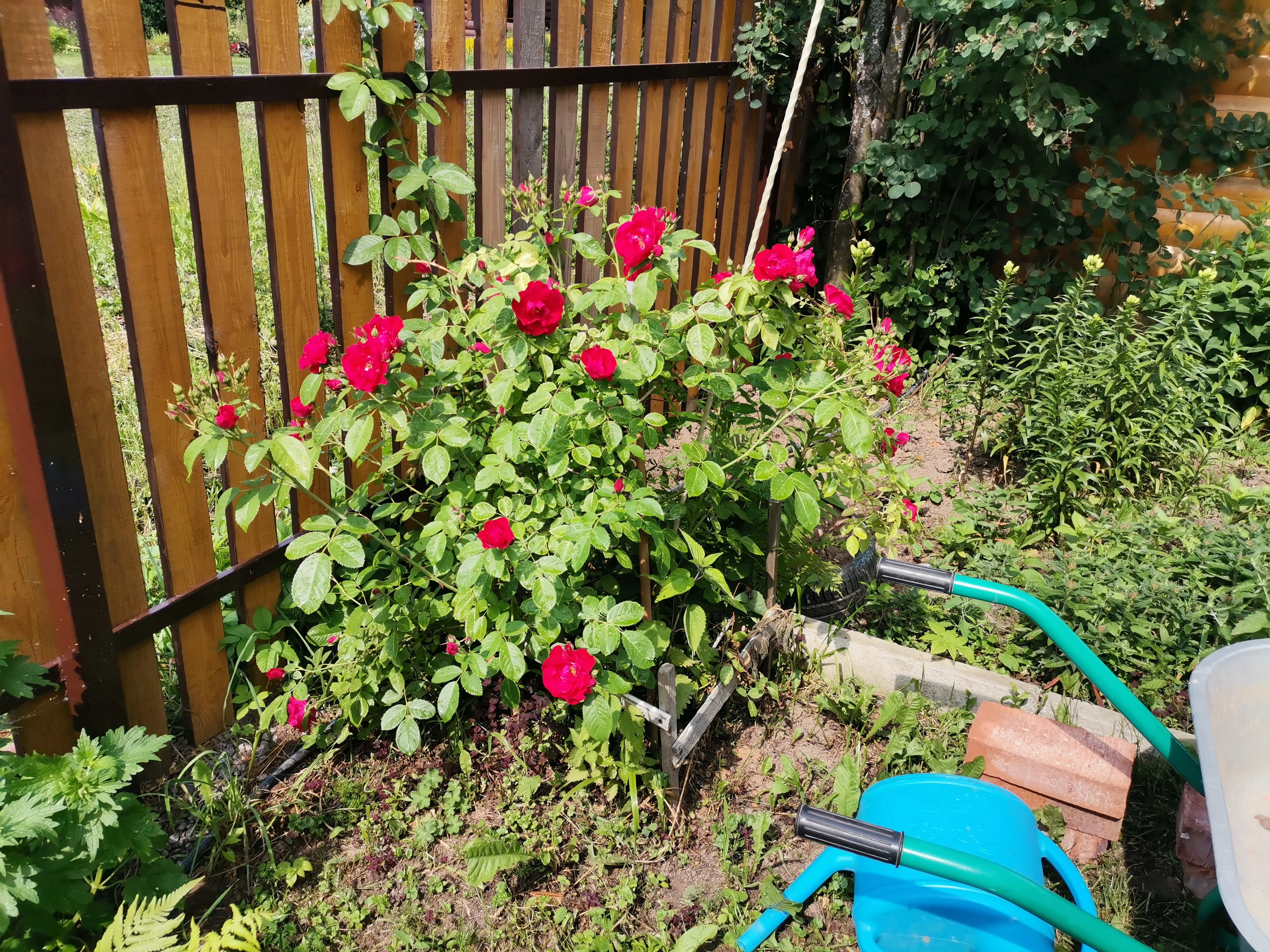 IMG_20250613_142008.webp