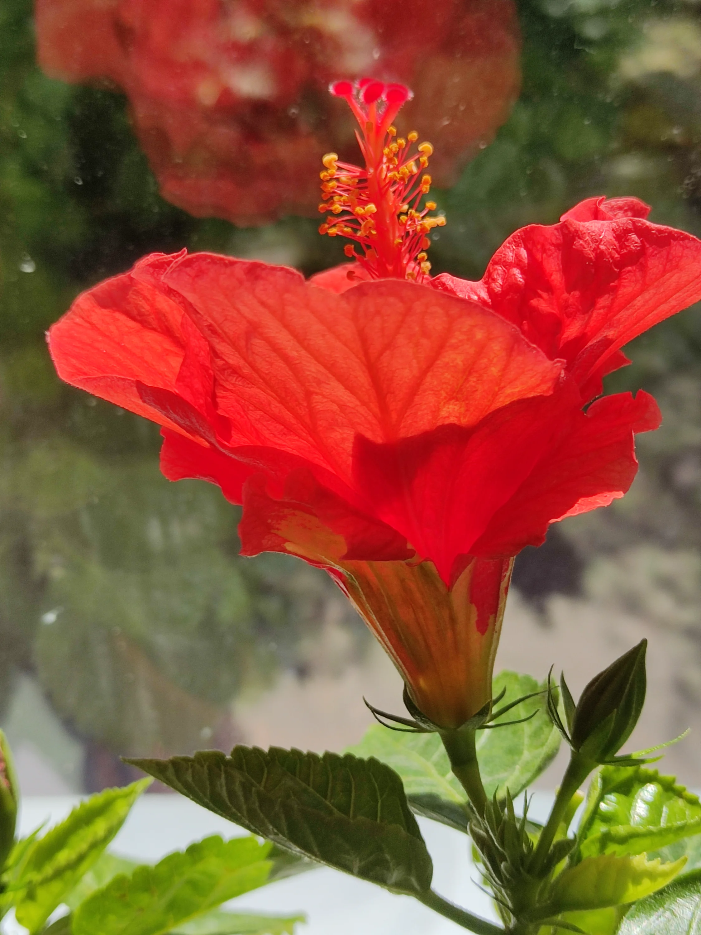 IMG_20250723_131505.webp