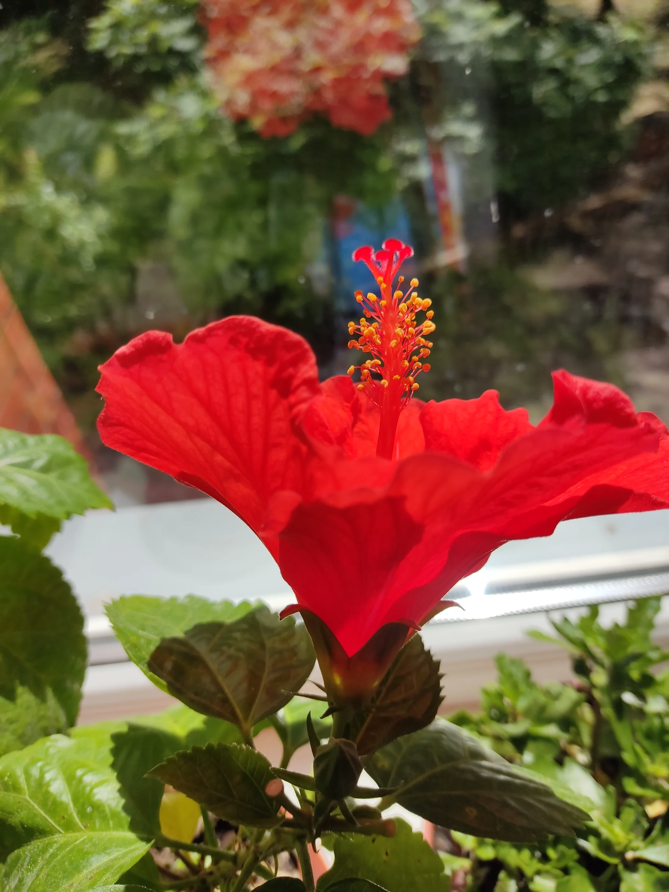 IMG_20250724_131746.webp