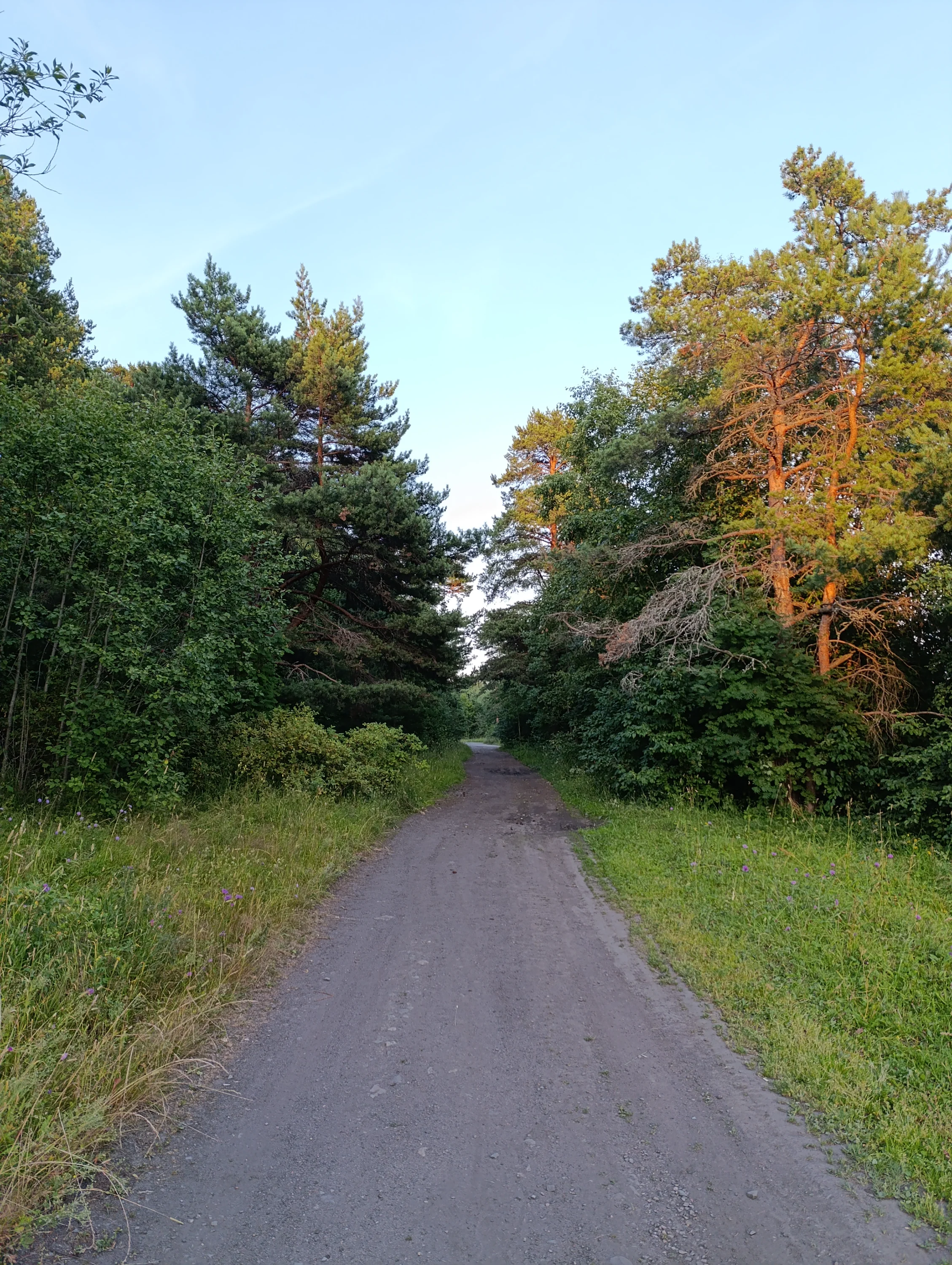 IMG_20250724_205220.webp