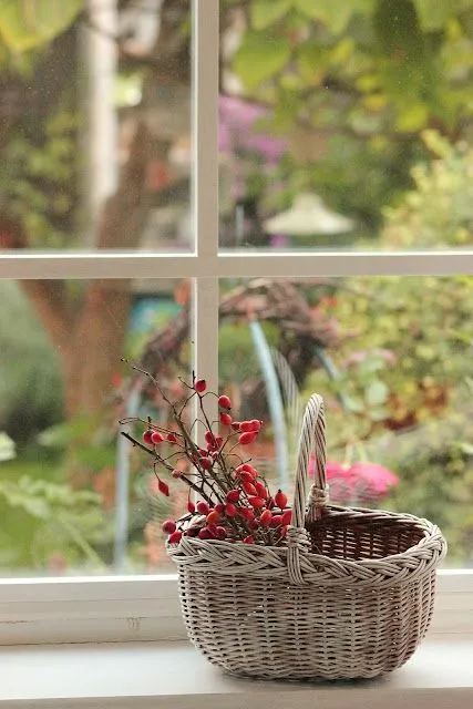 IMG_20250727_181950_188.webp