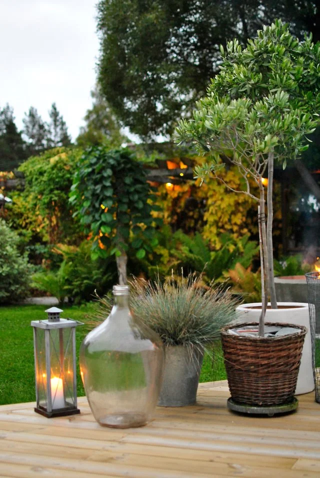 IMG_20250728_222259_190.webp