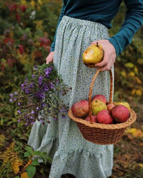 IMG_20250728_222259_285.webp