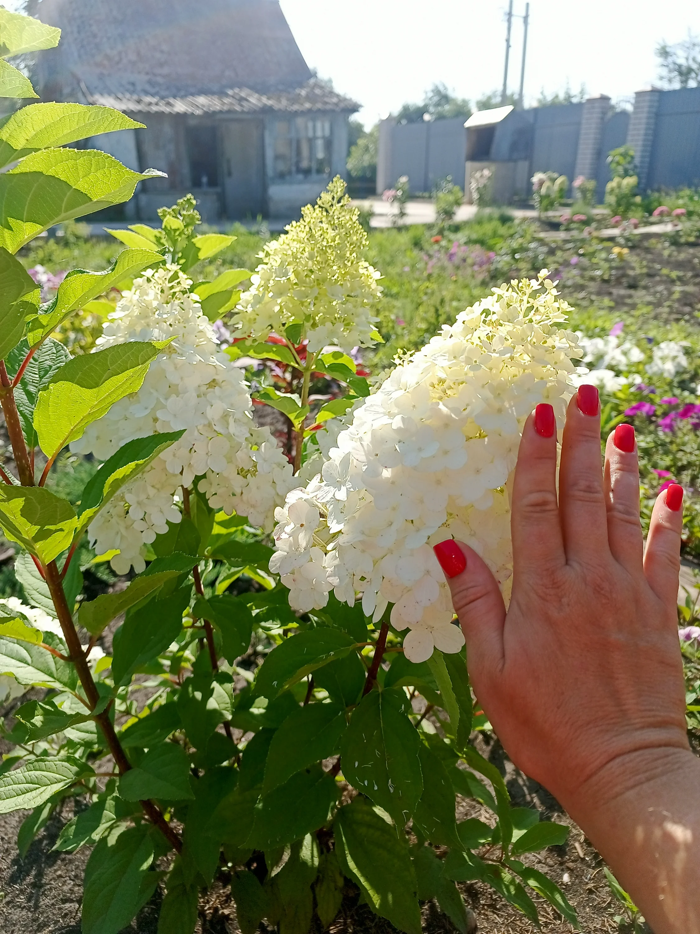 IMG_20250729_084712_879.webp