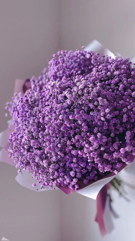 IMG_20250731_123829_768.webp