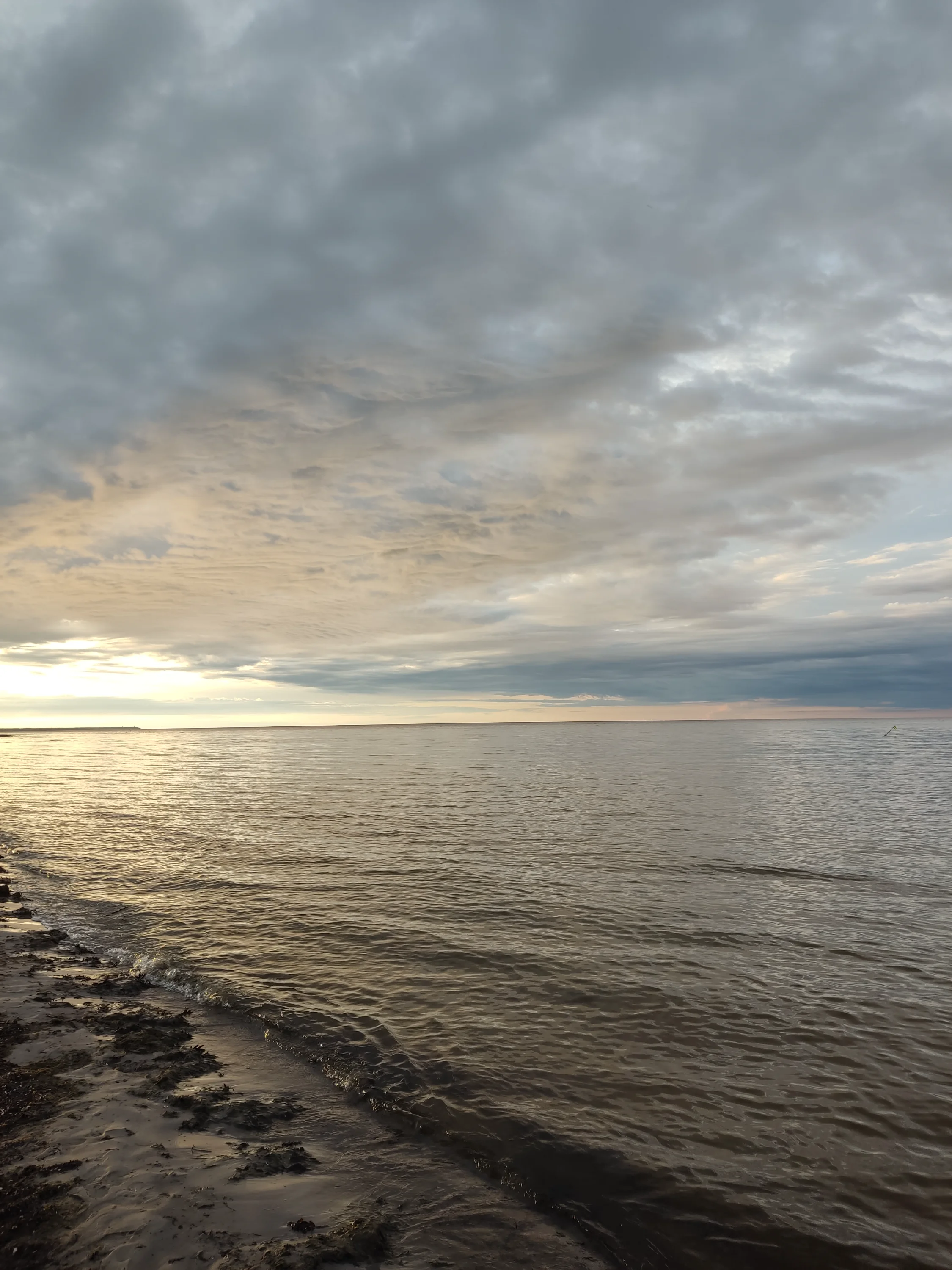 IMG_20250804_204307.webp