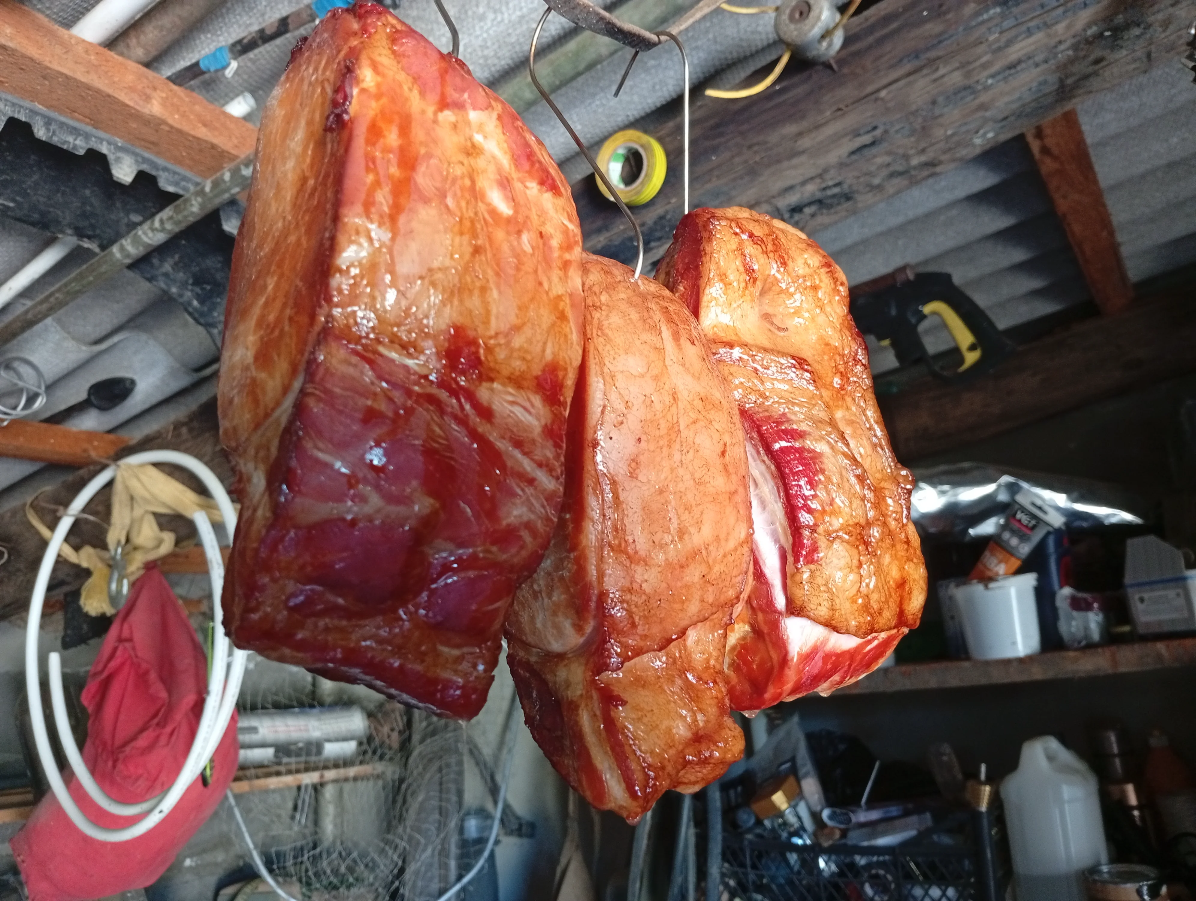 IMG_20250810_094044 (2).webp