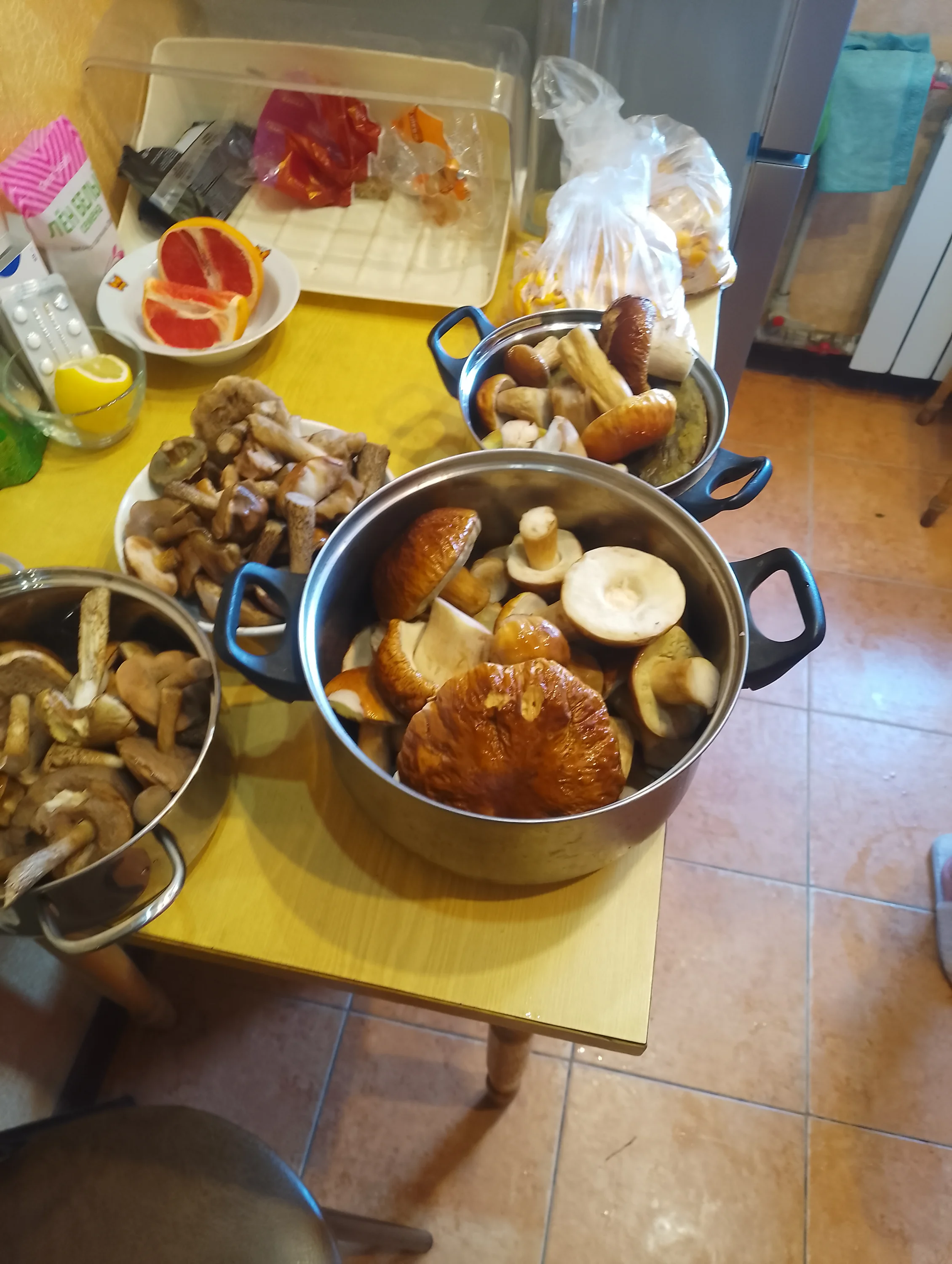 IMG_20250830_163526.webp