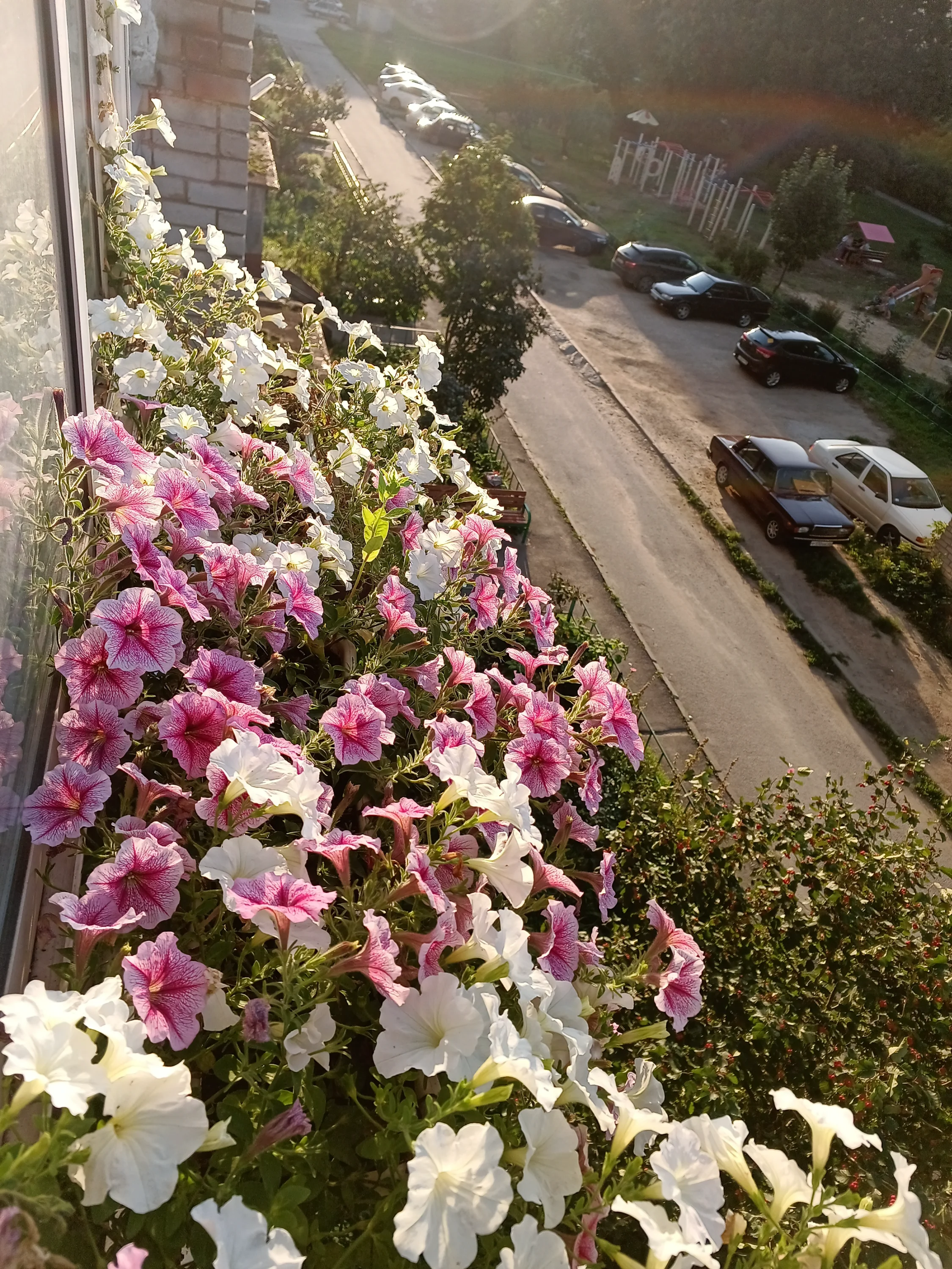 IMG_20250831_175242_346.webp