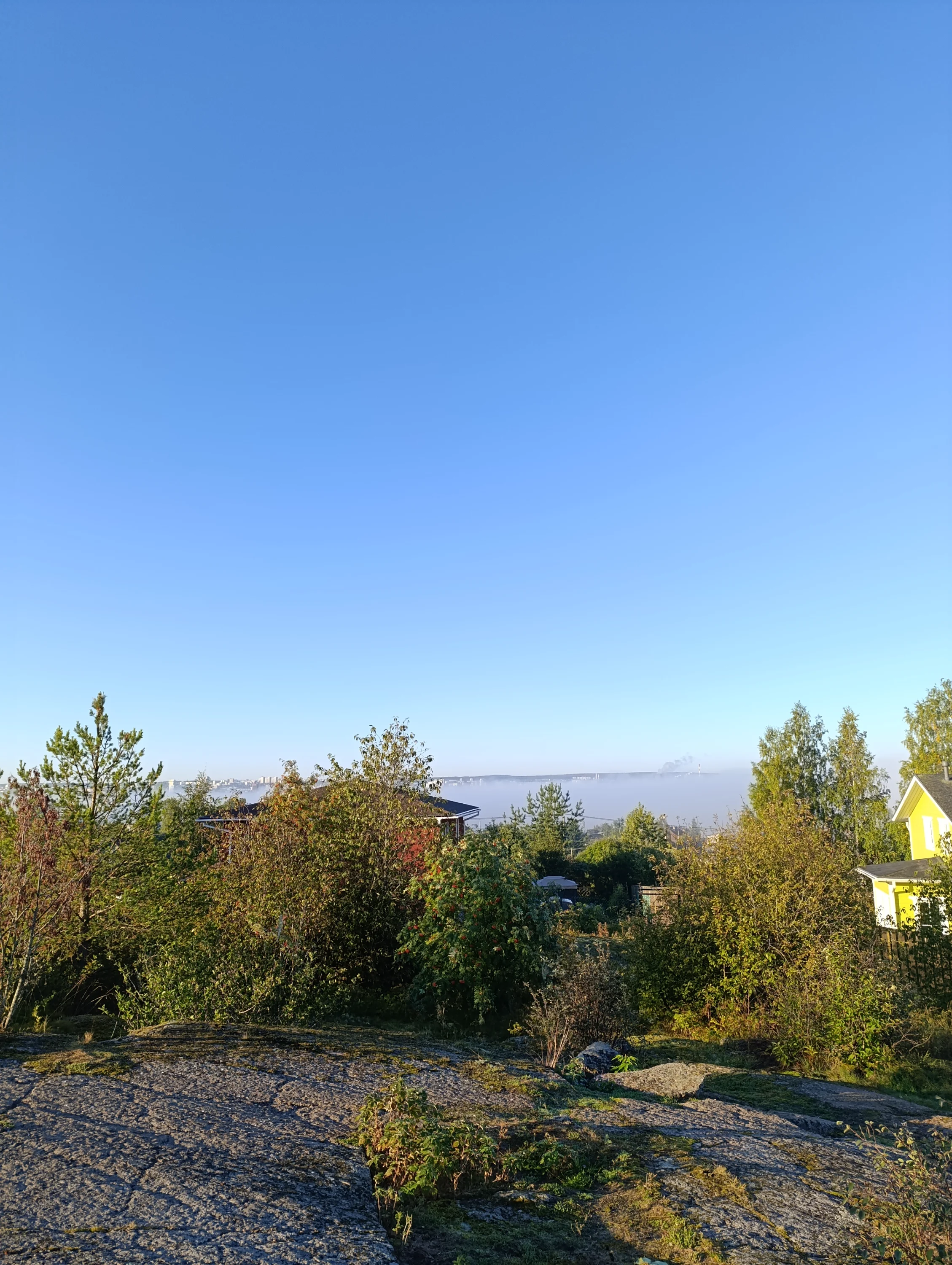 IMG_20250903_073331.webp