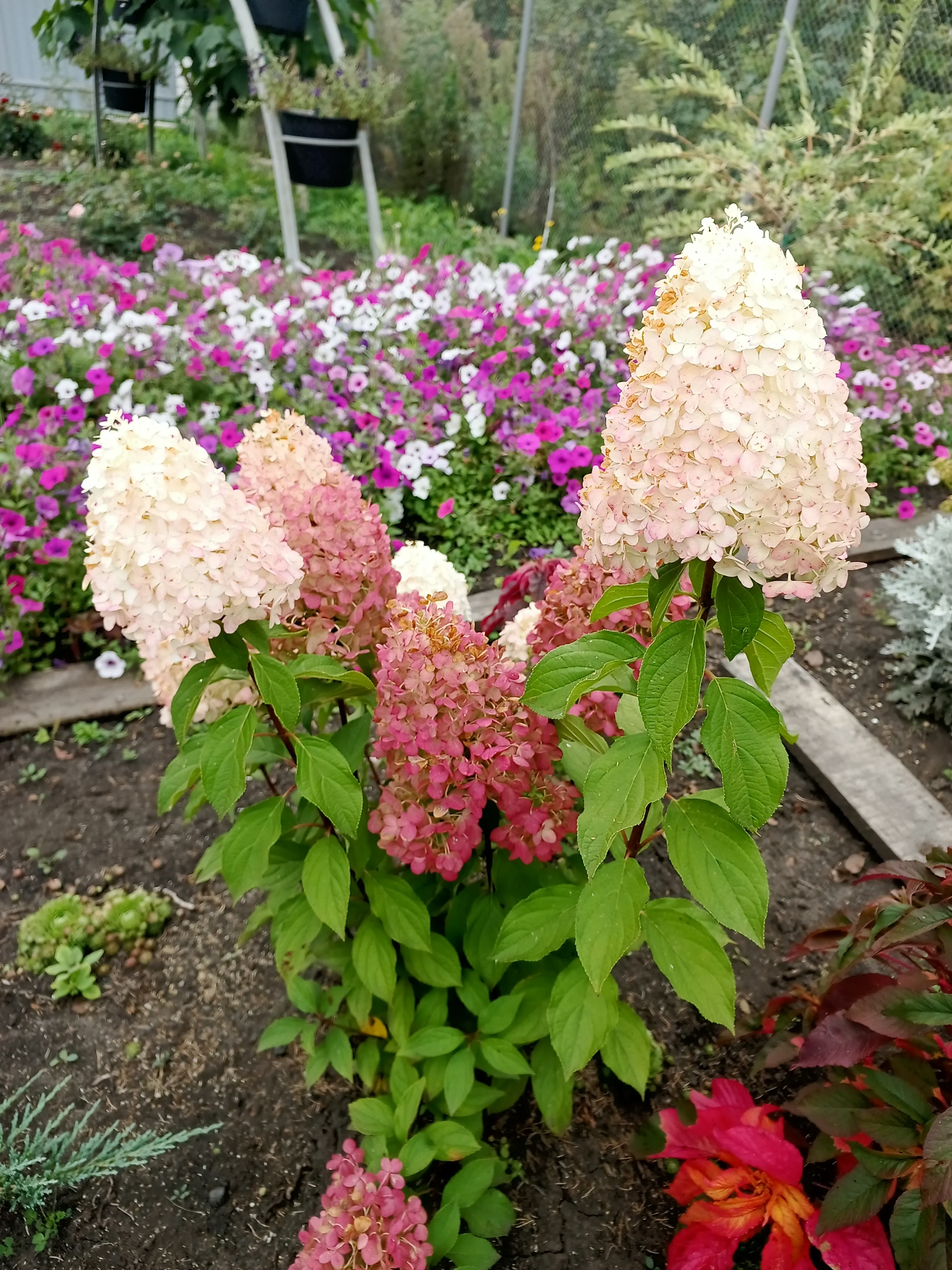 IMG_20250906_095104_884.webp
