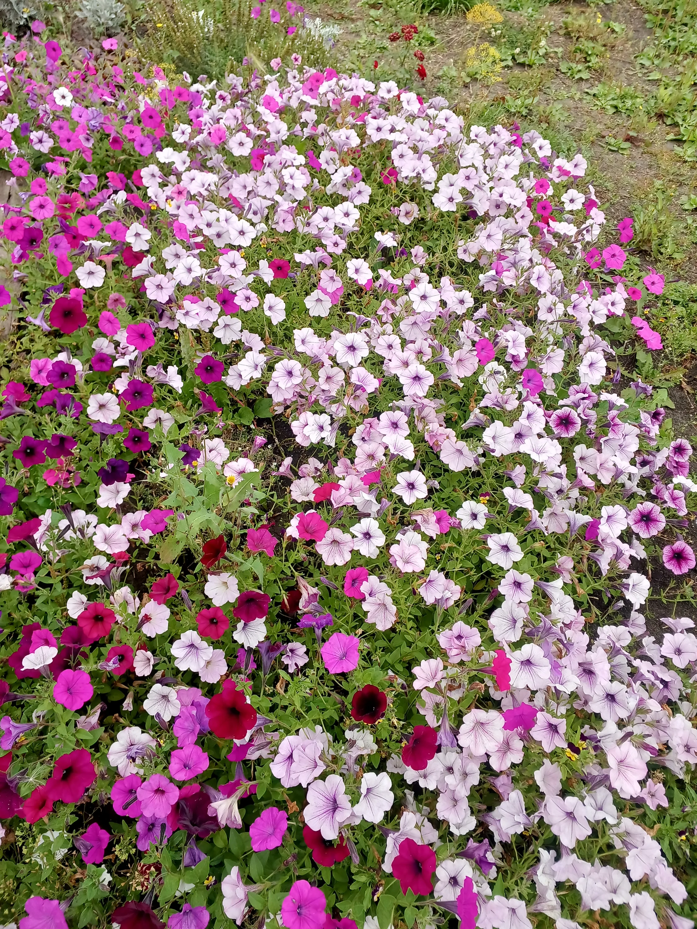 IMG_20250906_095144_718.webp
