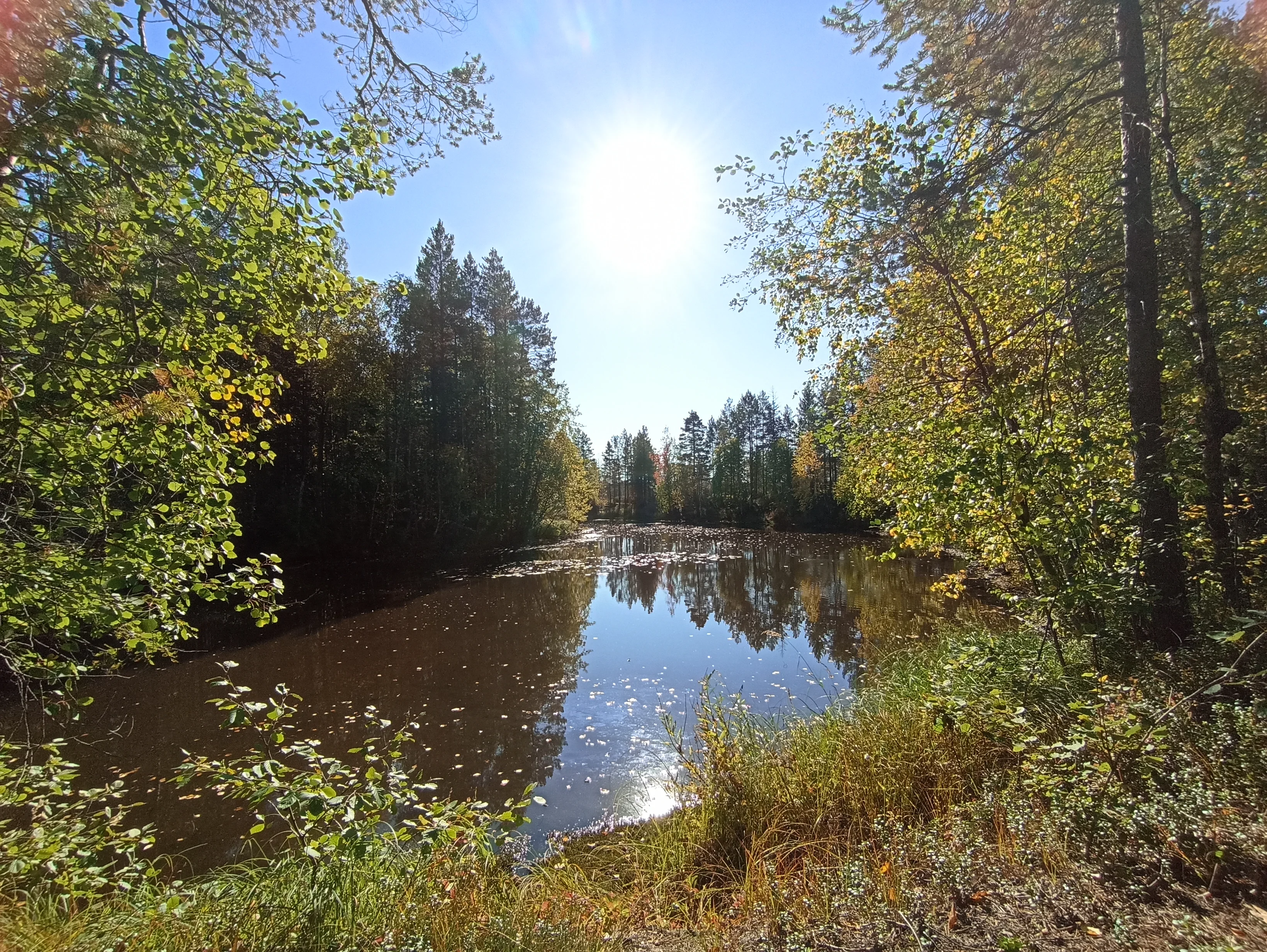 IMG_20250913_114718.webp