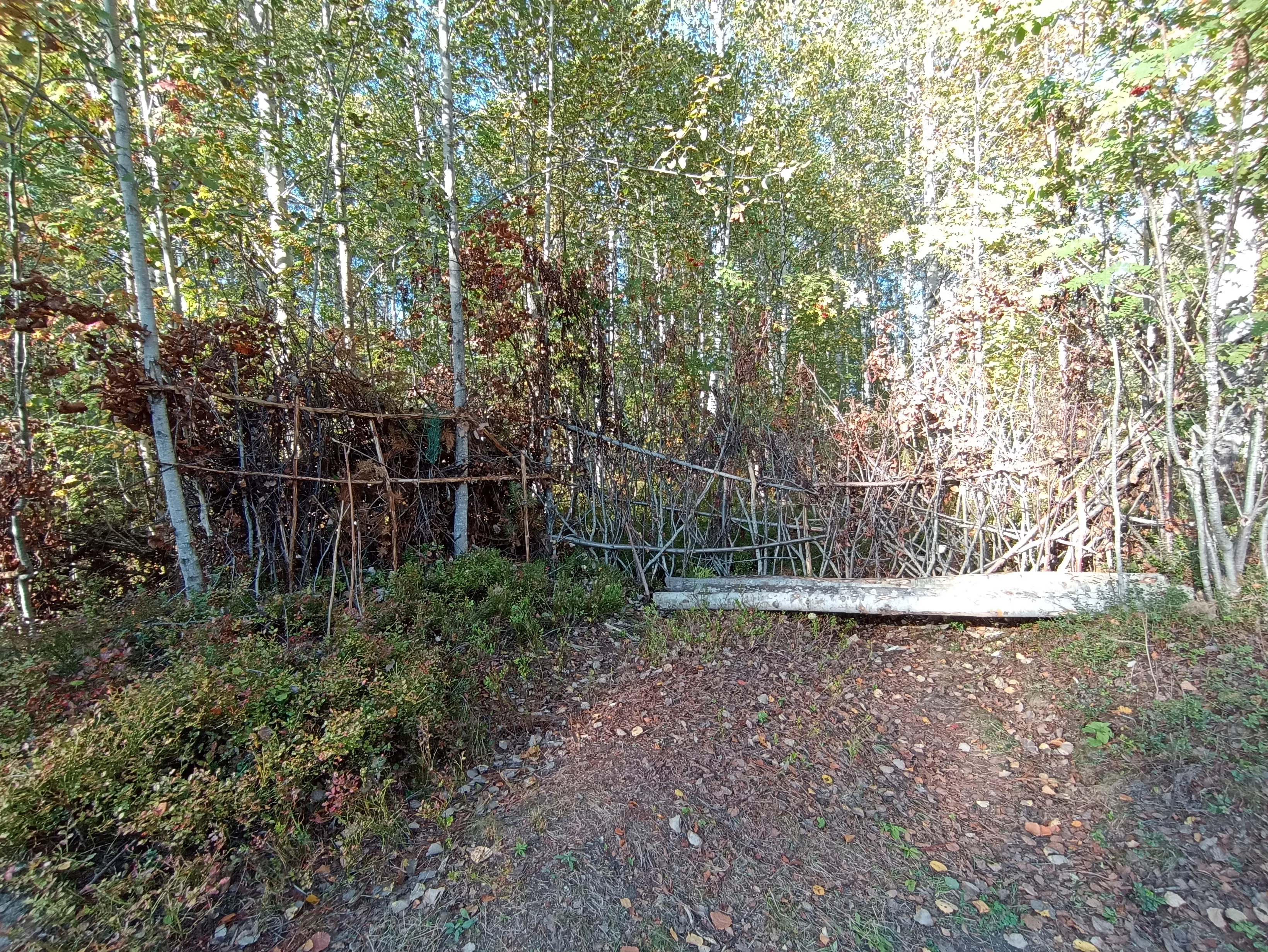 IMG_20250913_152619.webp