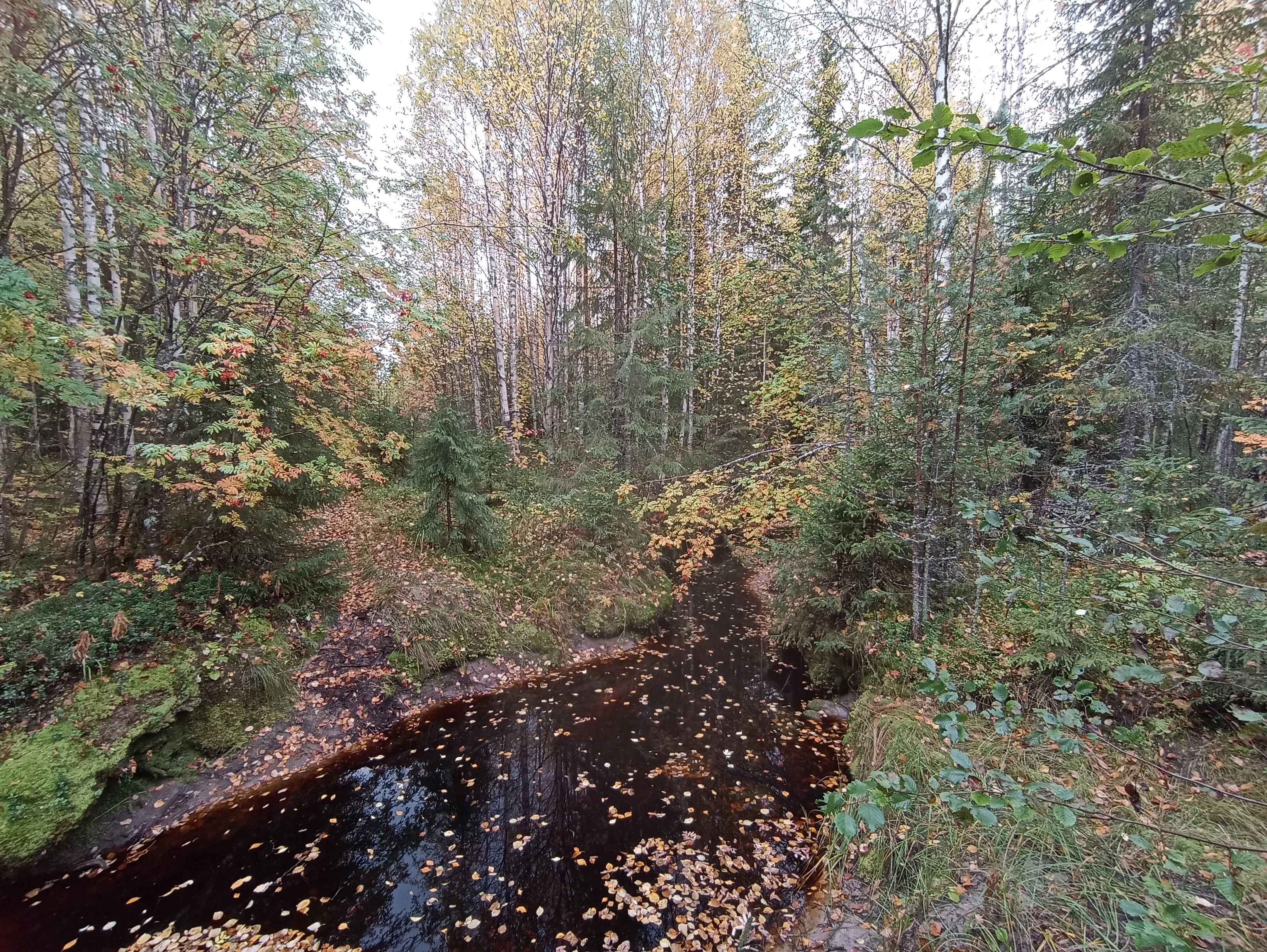 IMG_20250921_113023.webp