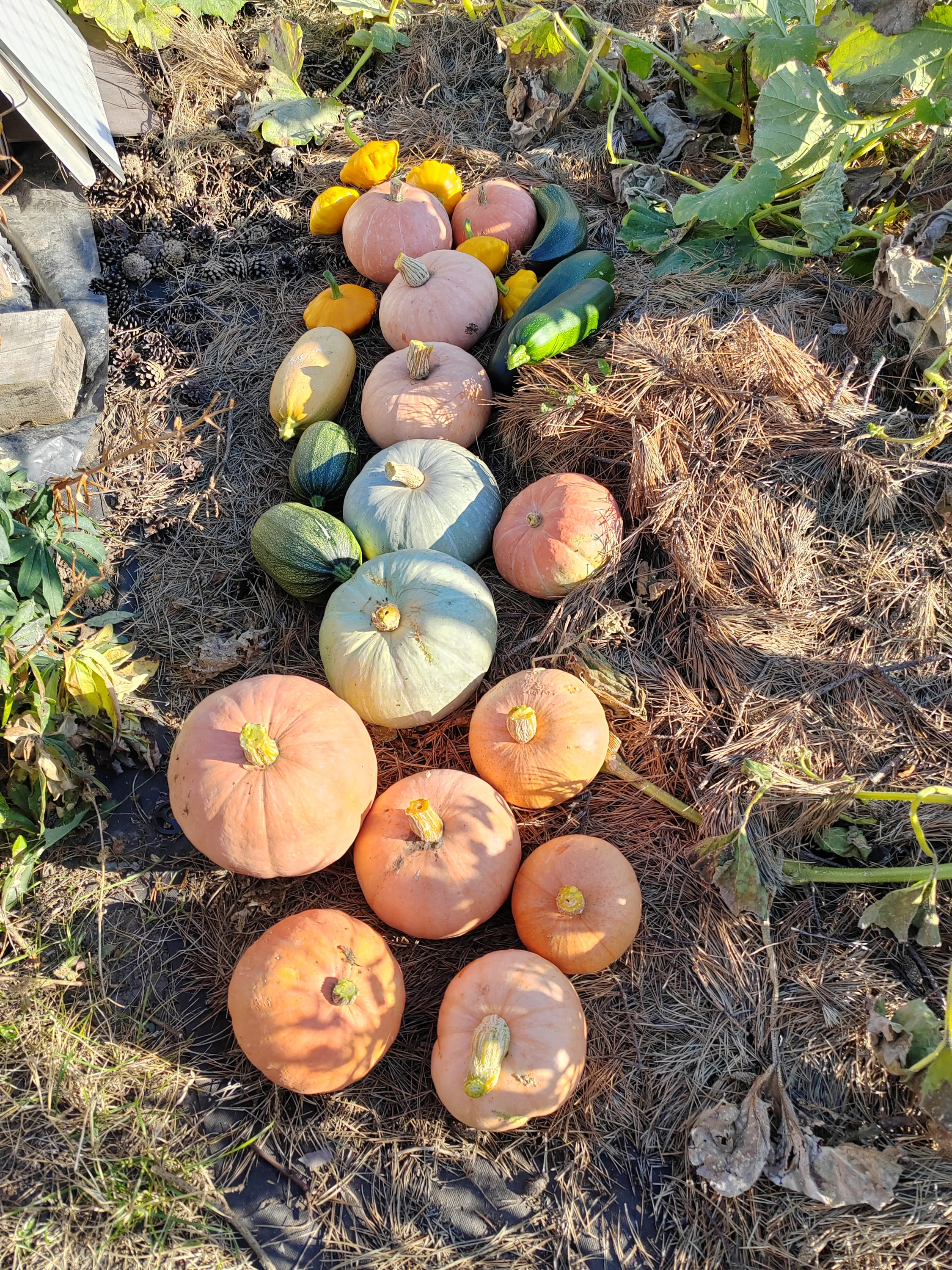 IMG_20250927_103128.webp
