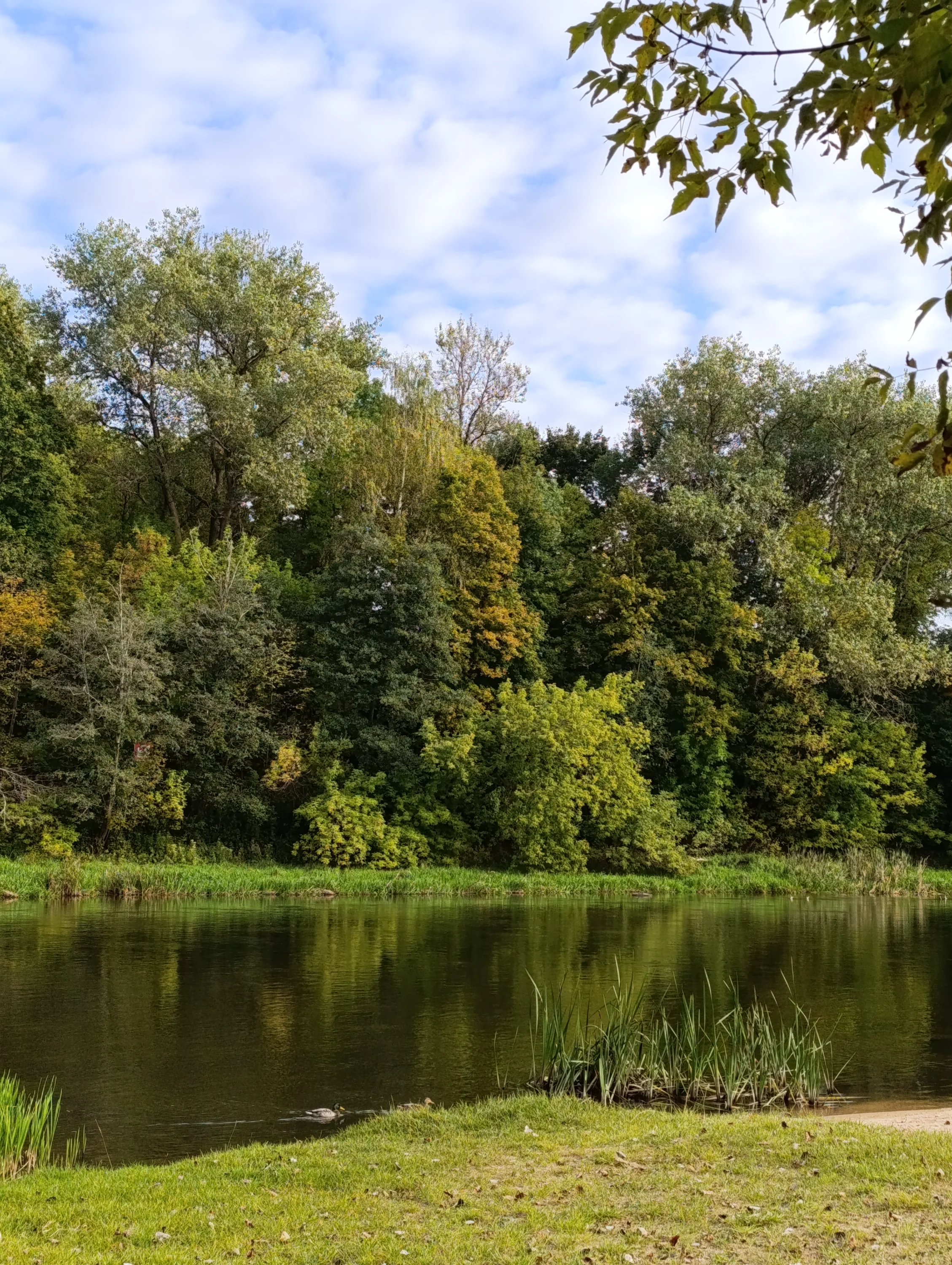 img_20251003_161723-webp.2222955