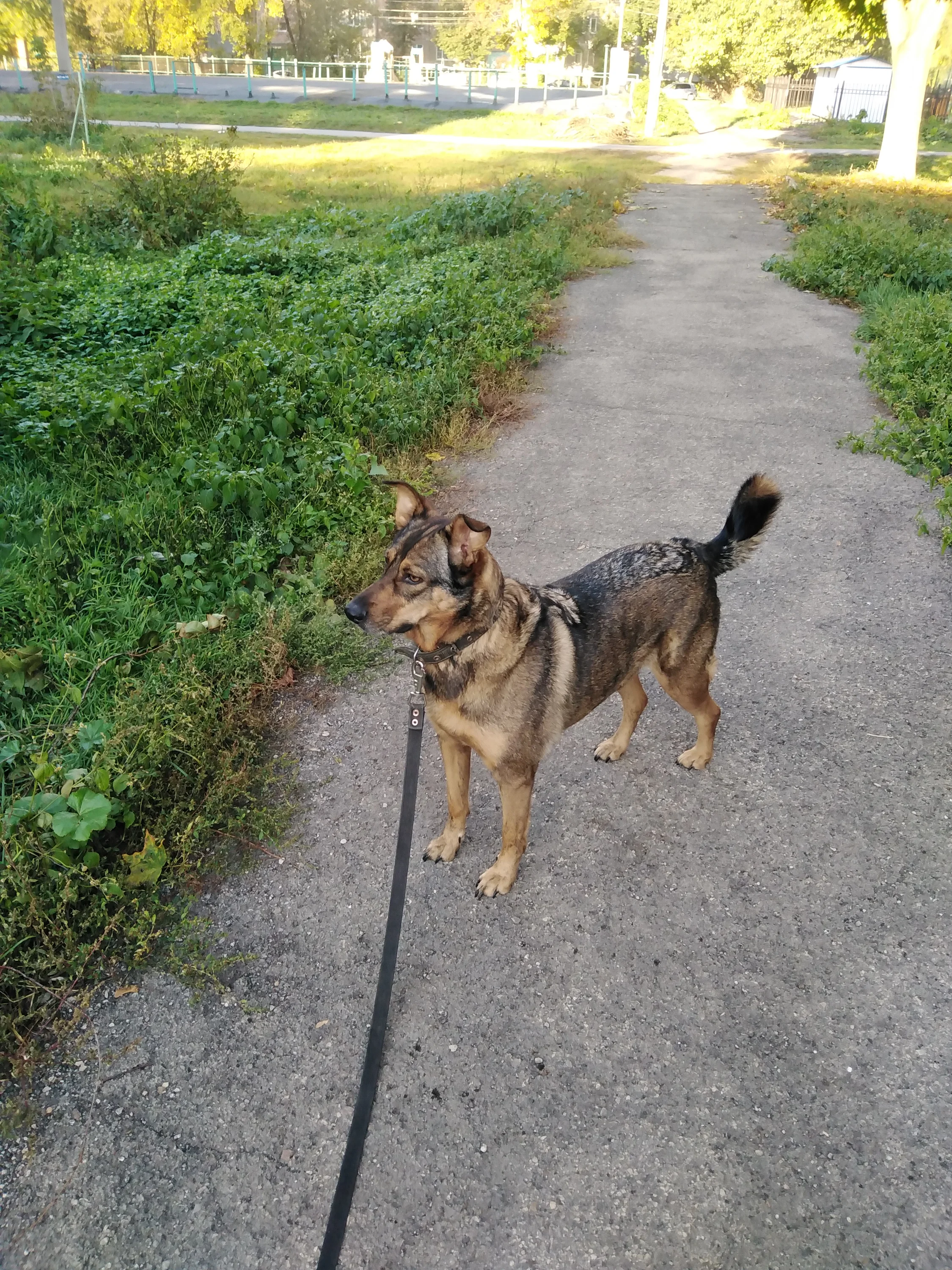 IMG_20251004_082227.webp
