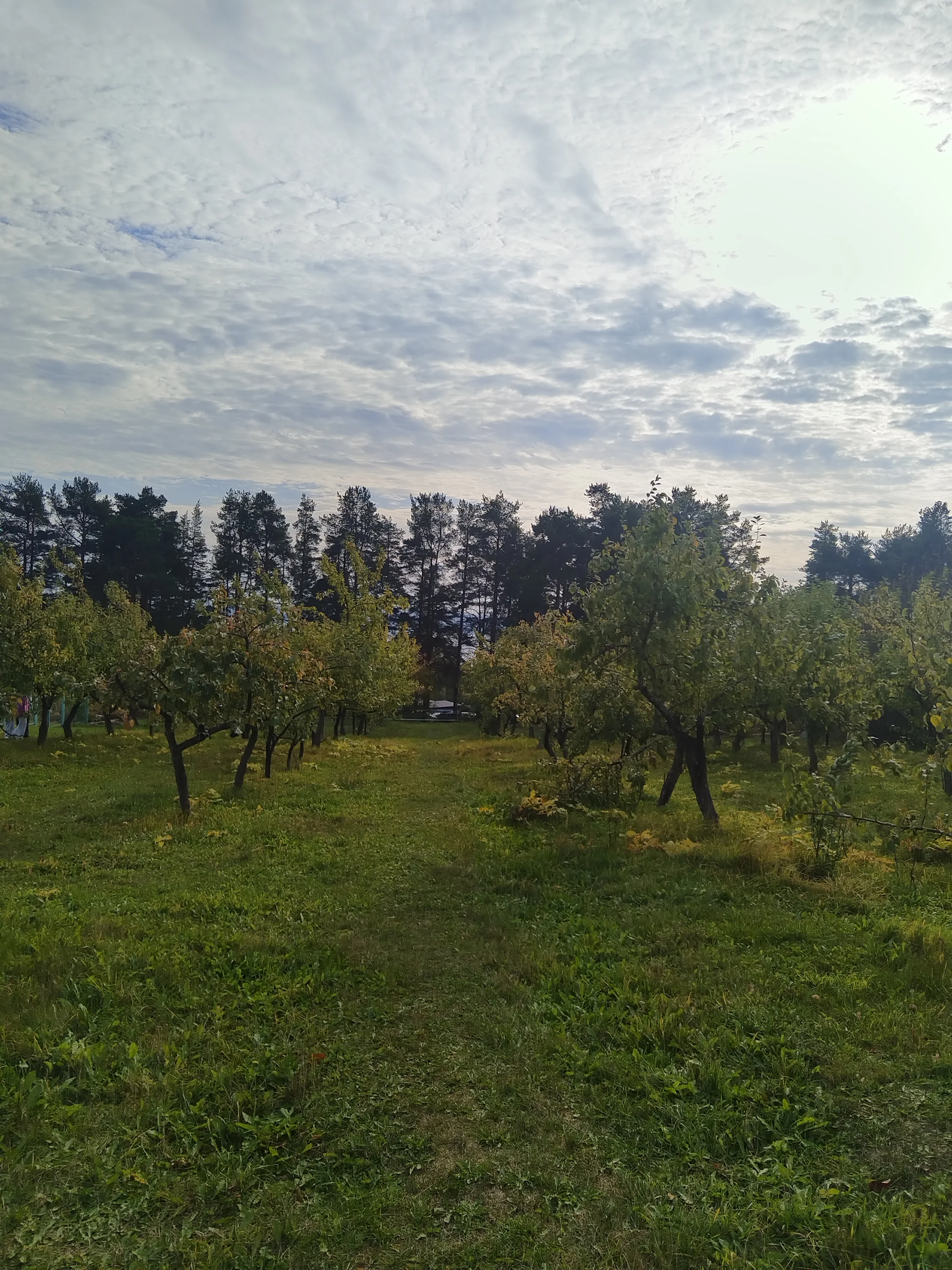 img_20251005_135113-webp.2227545