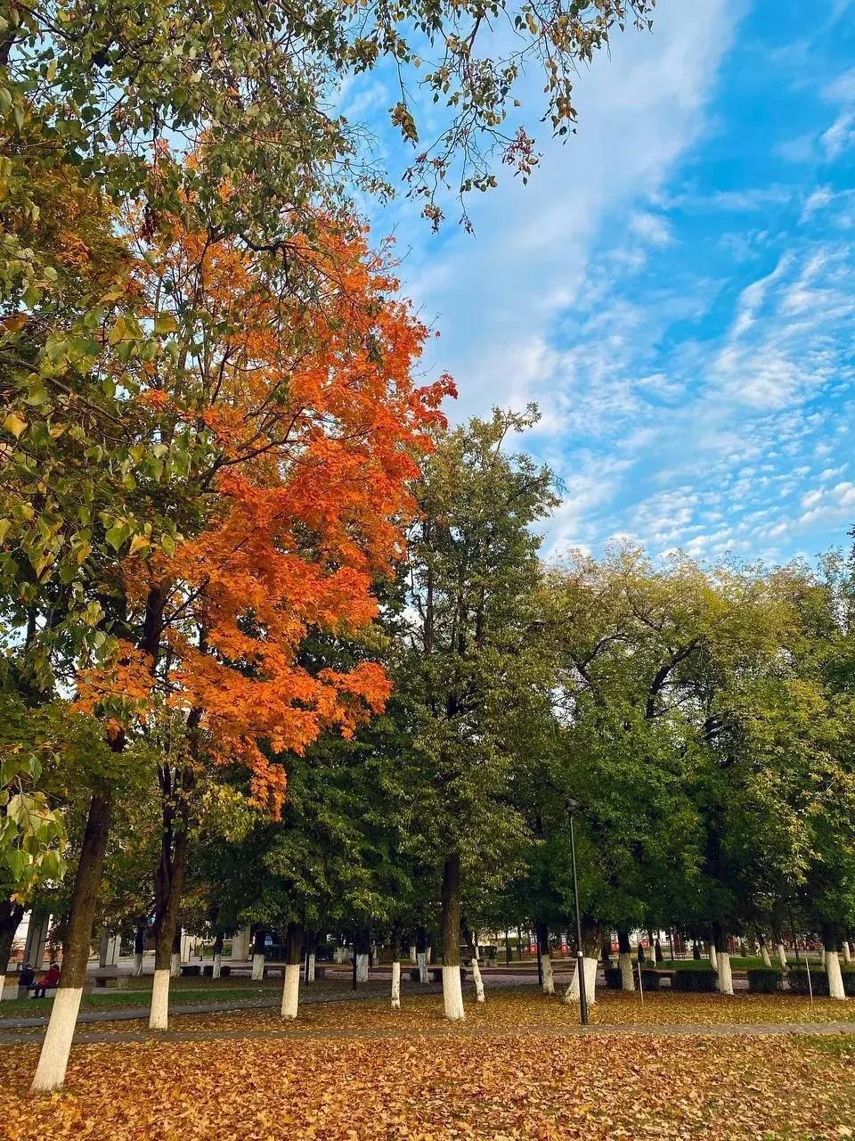 img_20251005_142615_527-webp.2223789