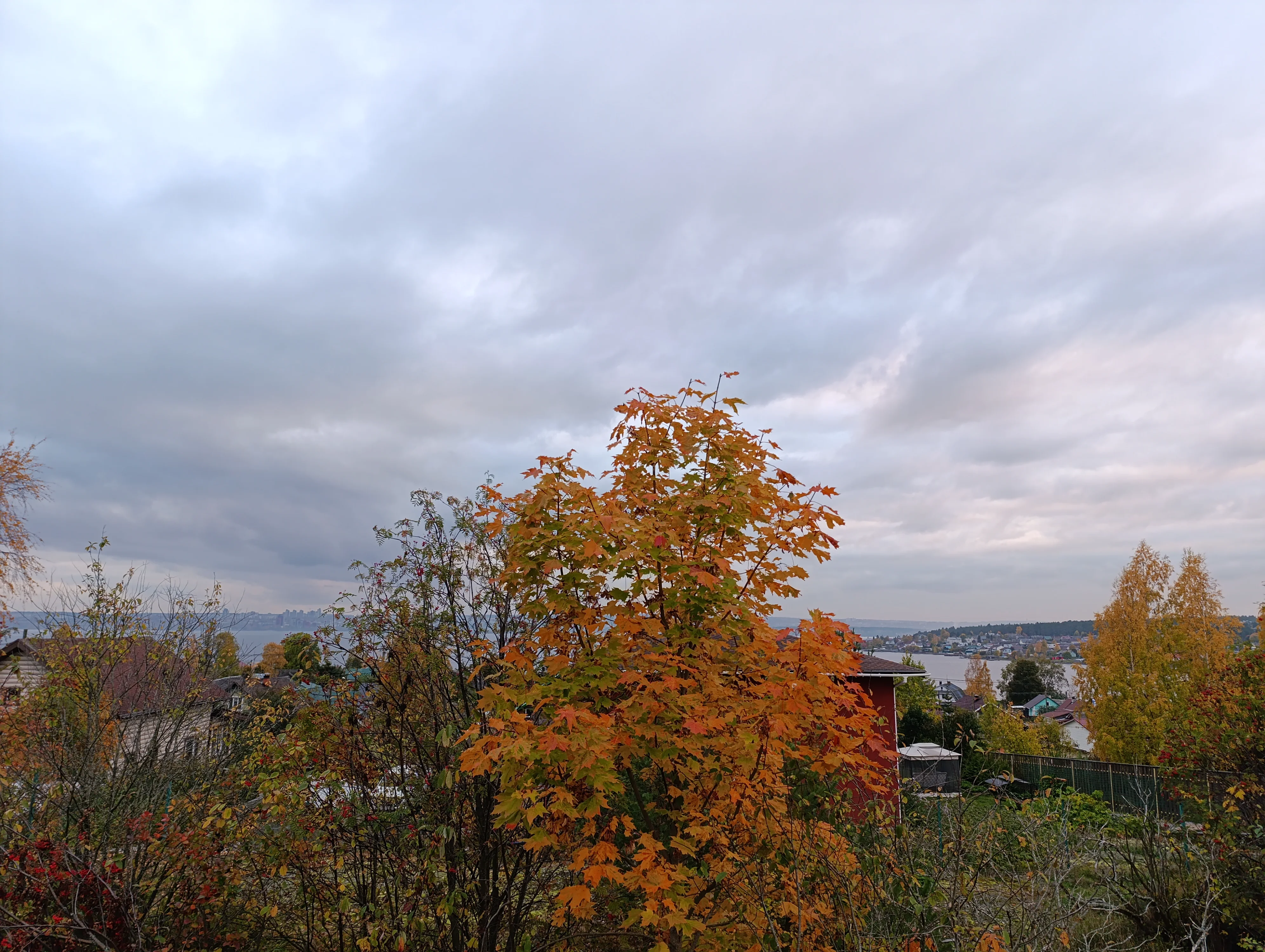 IMG_20251007_172119.webp