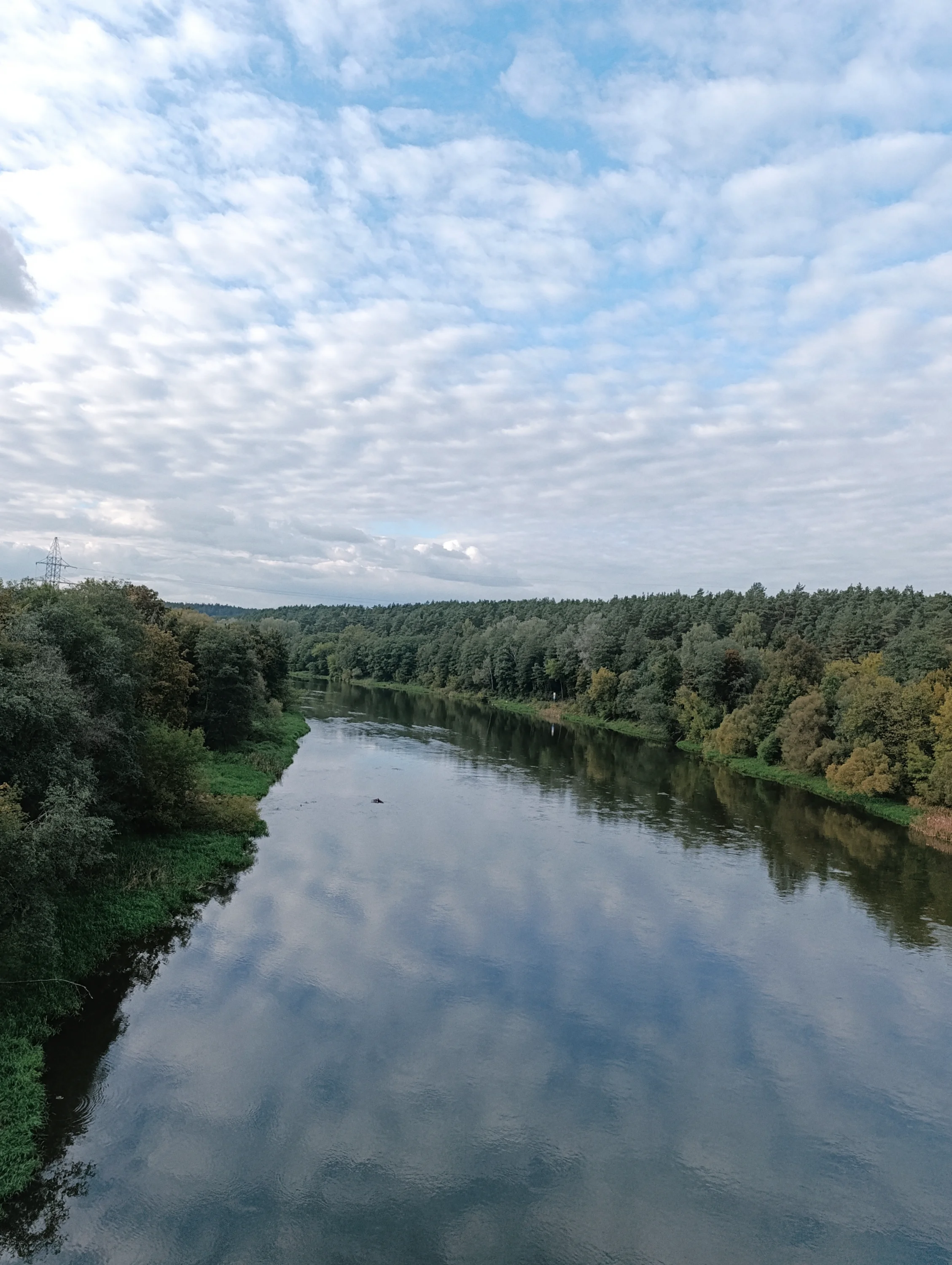 img_20251007_175546-webp.2225778