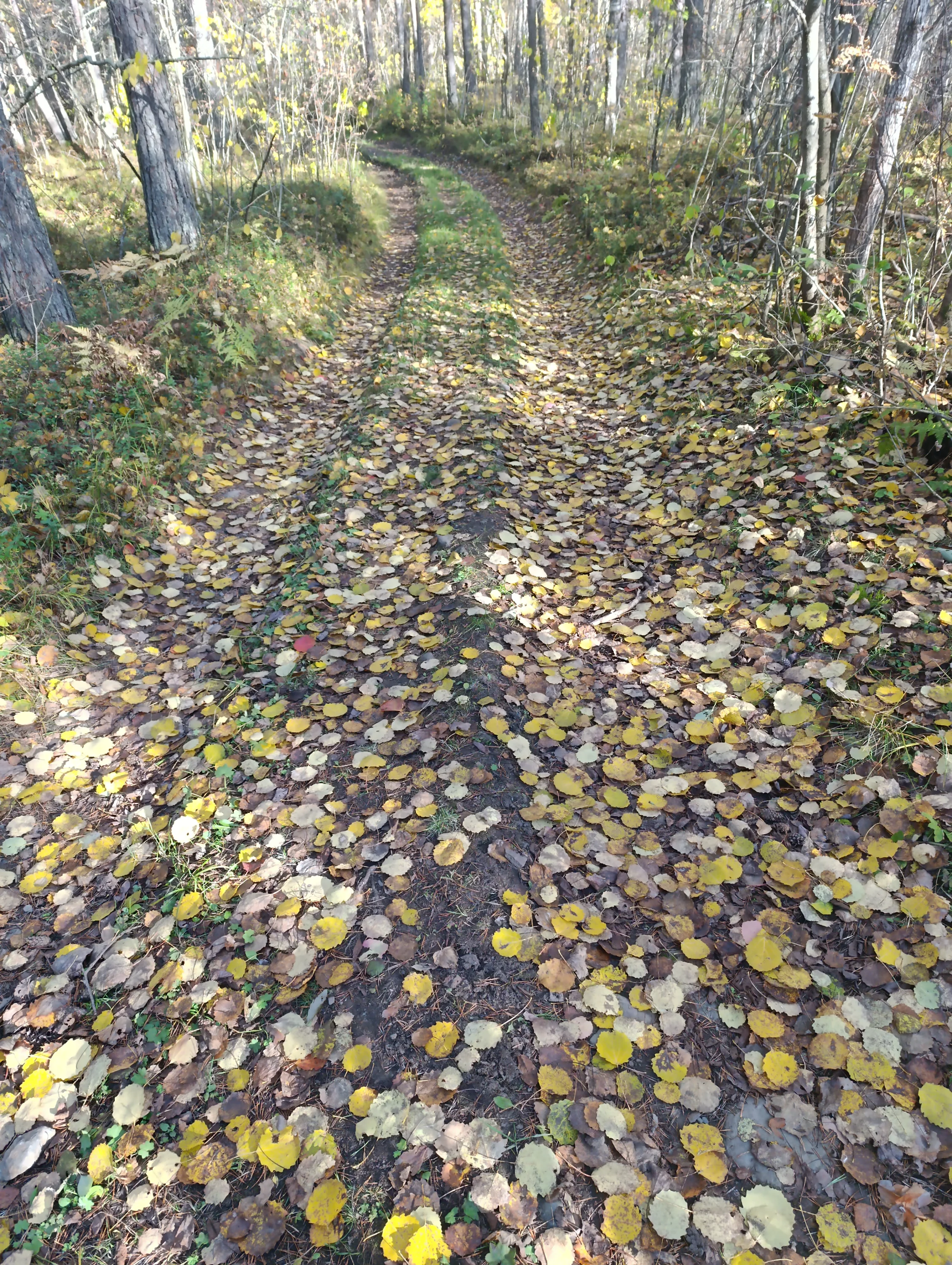 IMG_20251009_125327.webp