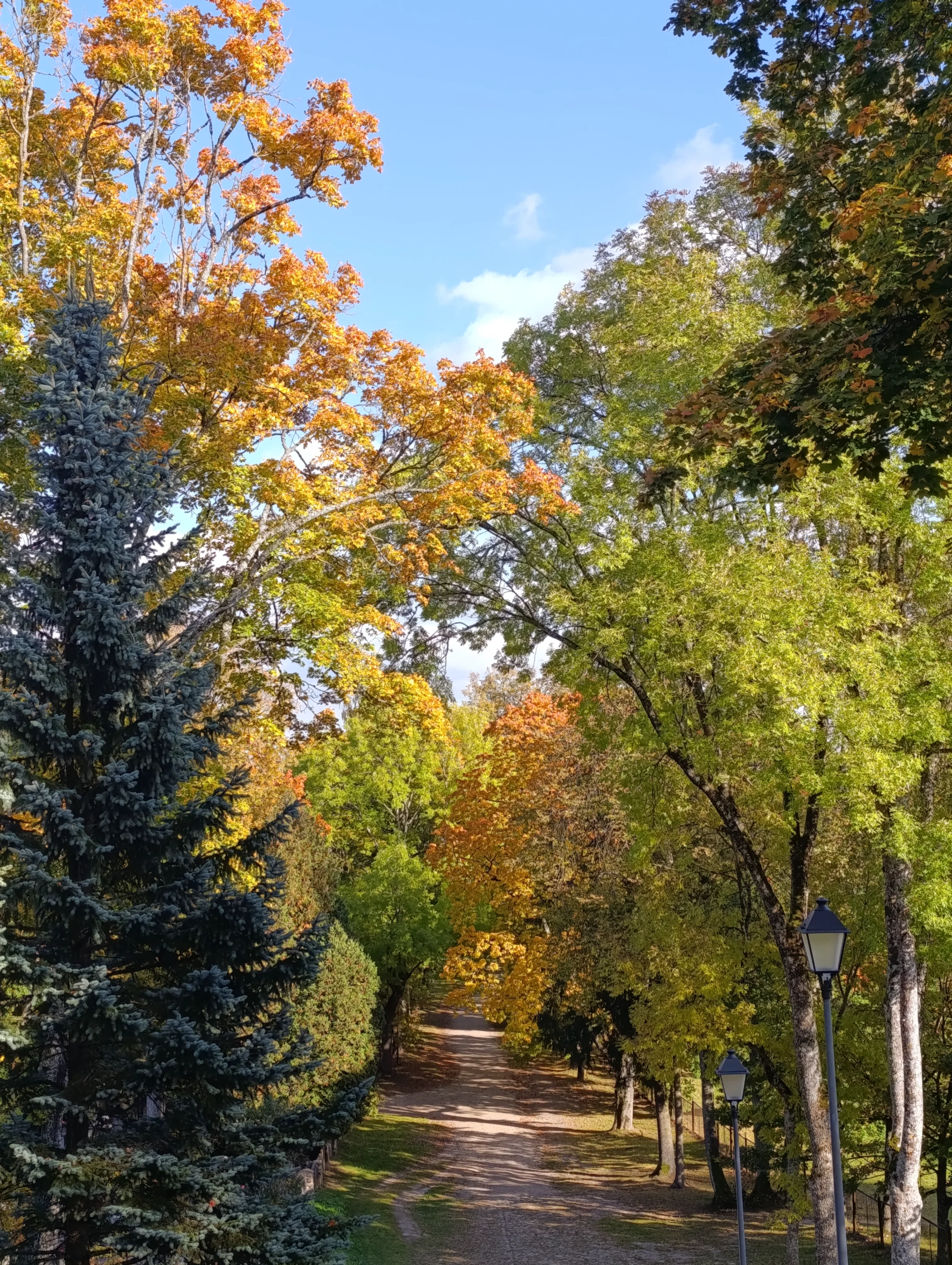 img_20251009_152001-webp.2227227