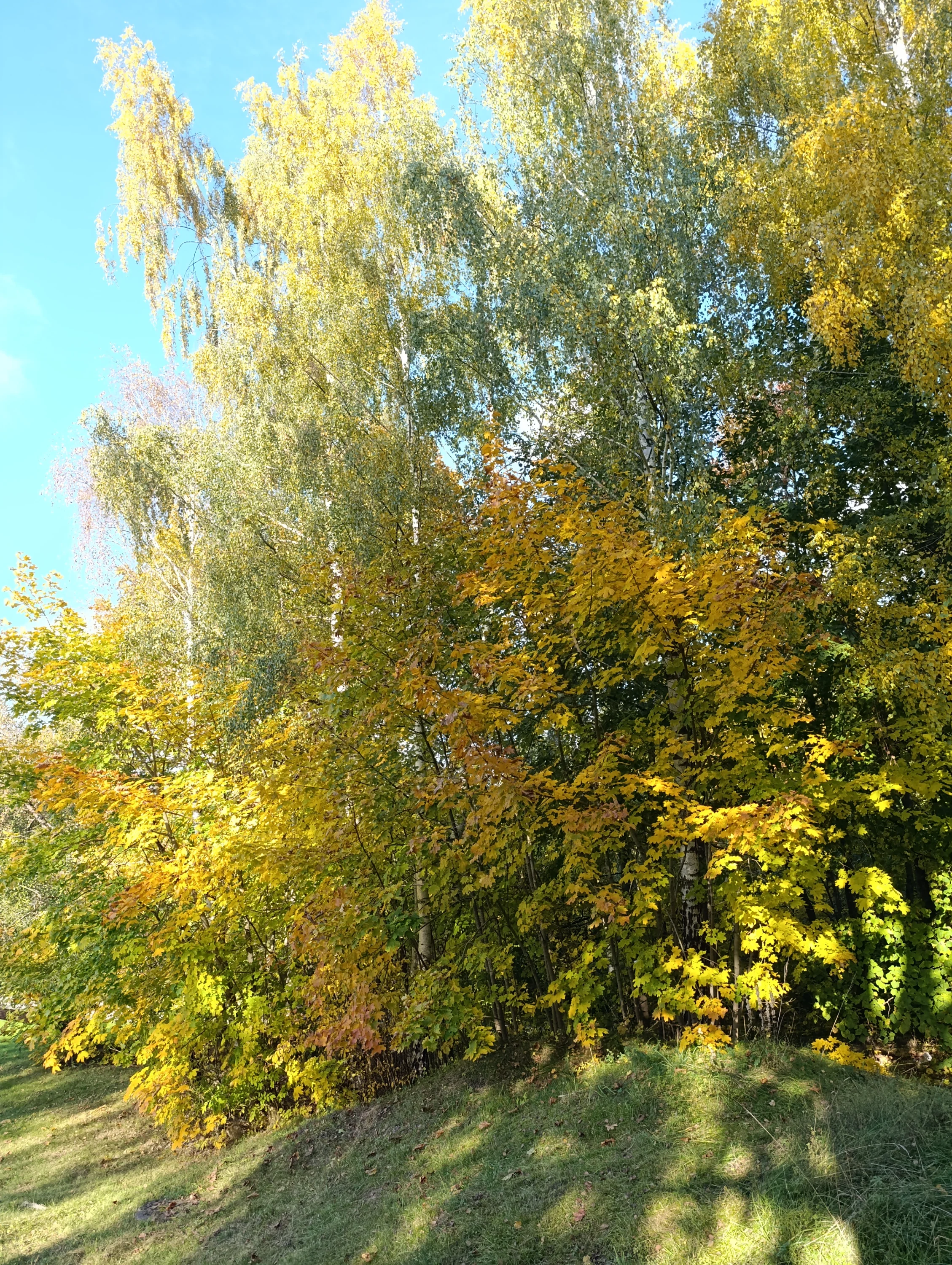 img_20251009_152514-webp.2227228